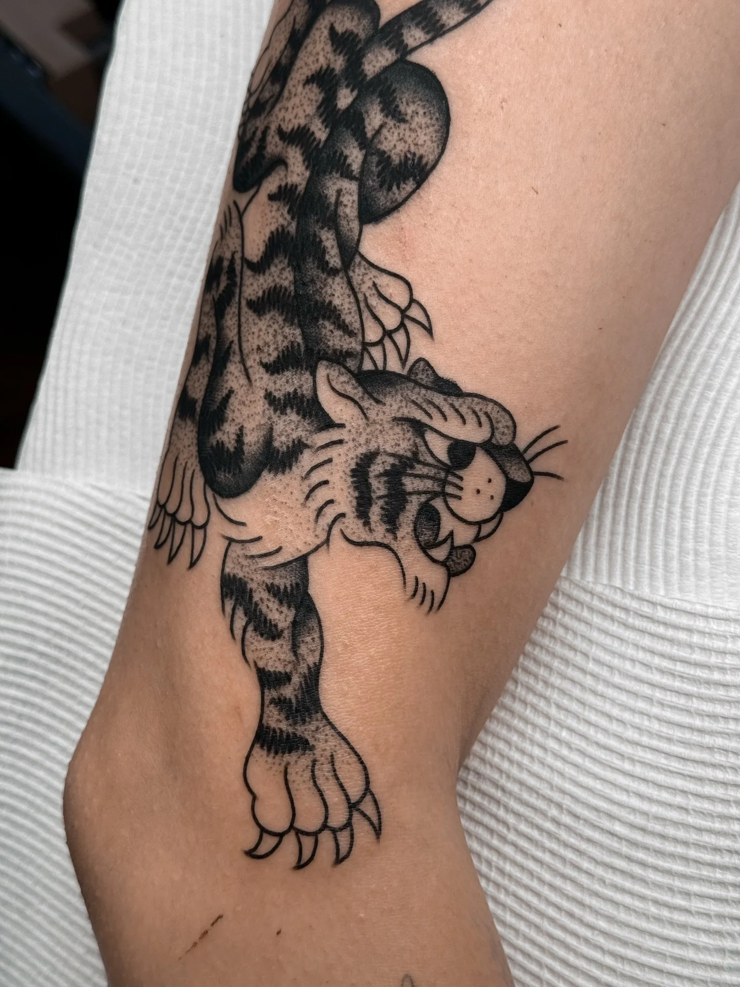 A couple big cats for Kate 🐯 we did these over a year ago (whoopsie me once again for being so late to share 😝)
.
#tigertattoo #forearmtattoo #armsleeve #tradworkers #stippletattoo