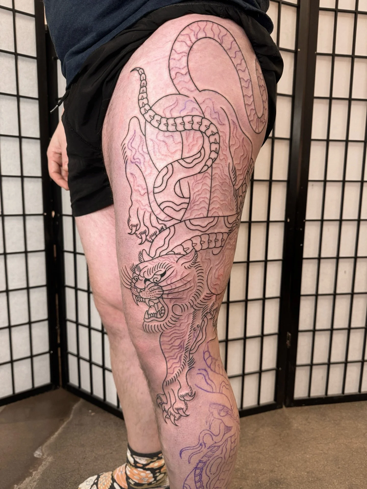 Session one for Alex 👀 smashed out half of the linework! Can&rsquo;t wait to show off more!
.
.
#traditionaltattoo #legsleeve #tigertattoo #snaketattoo #tattoolinework