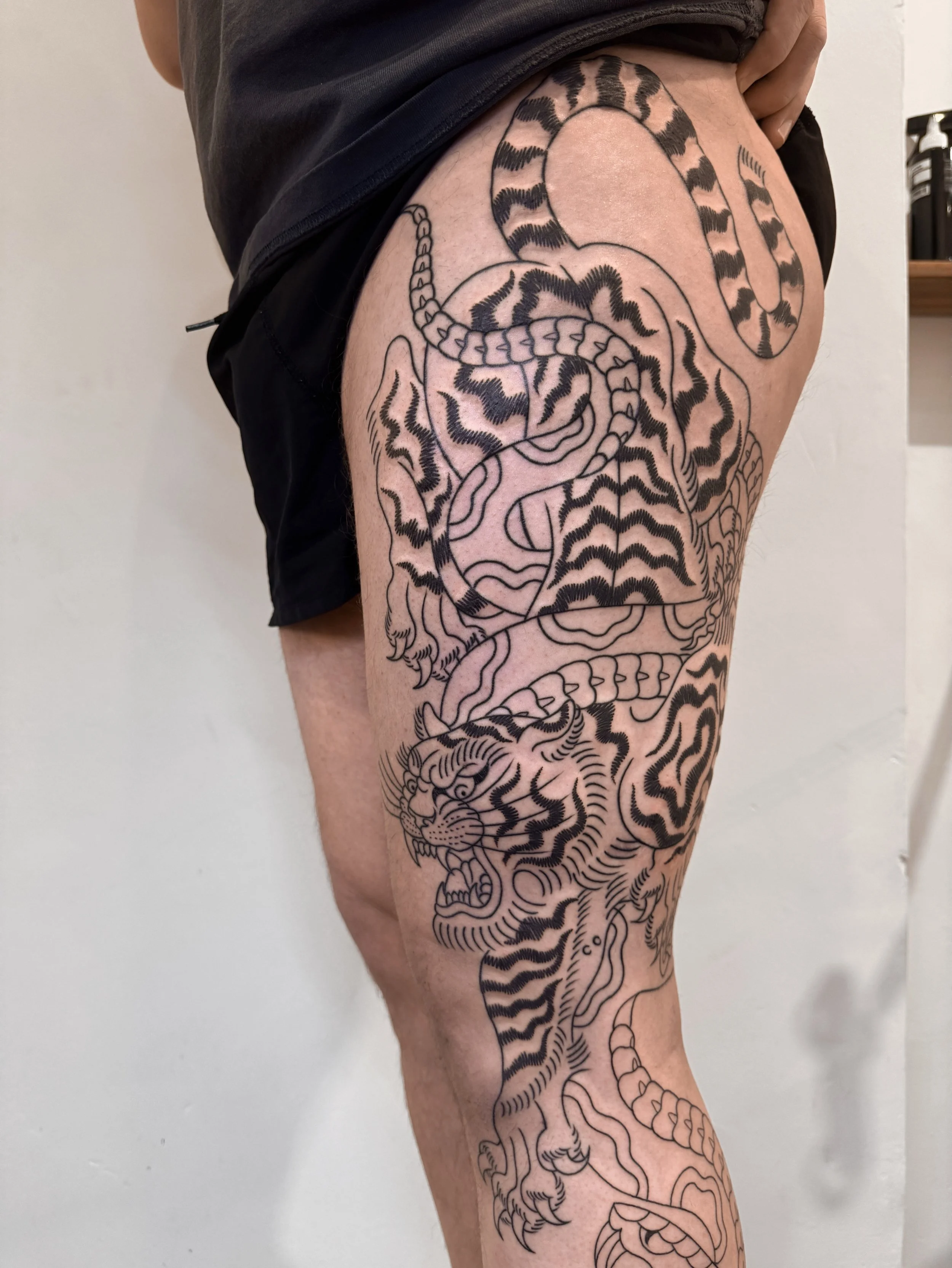 Session two of this dream project with Alex 👀 tiger stripes and snake lines are fresh- so happy with how the other tiger lines have settled in!
.
.
.
#fulllegsleeve #largetattoo #tradtattoos #tigertattoo #snaketattoo