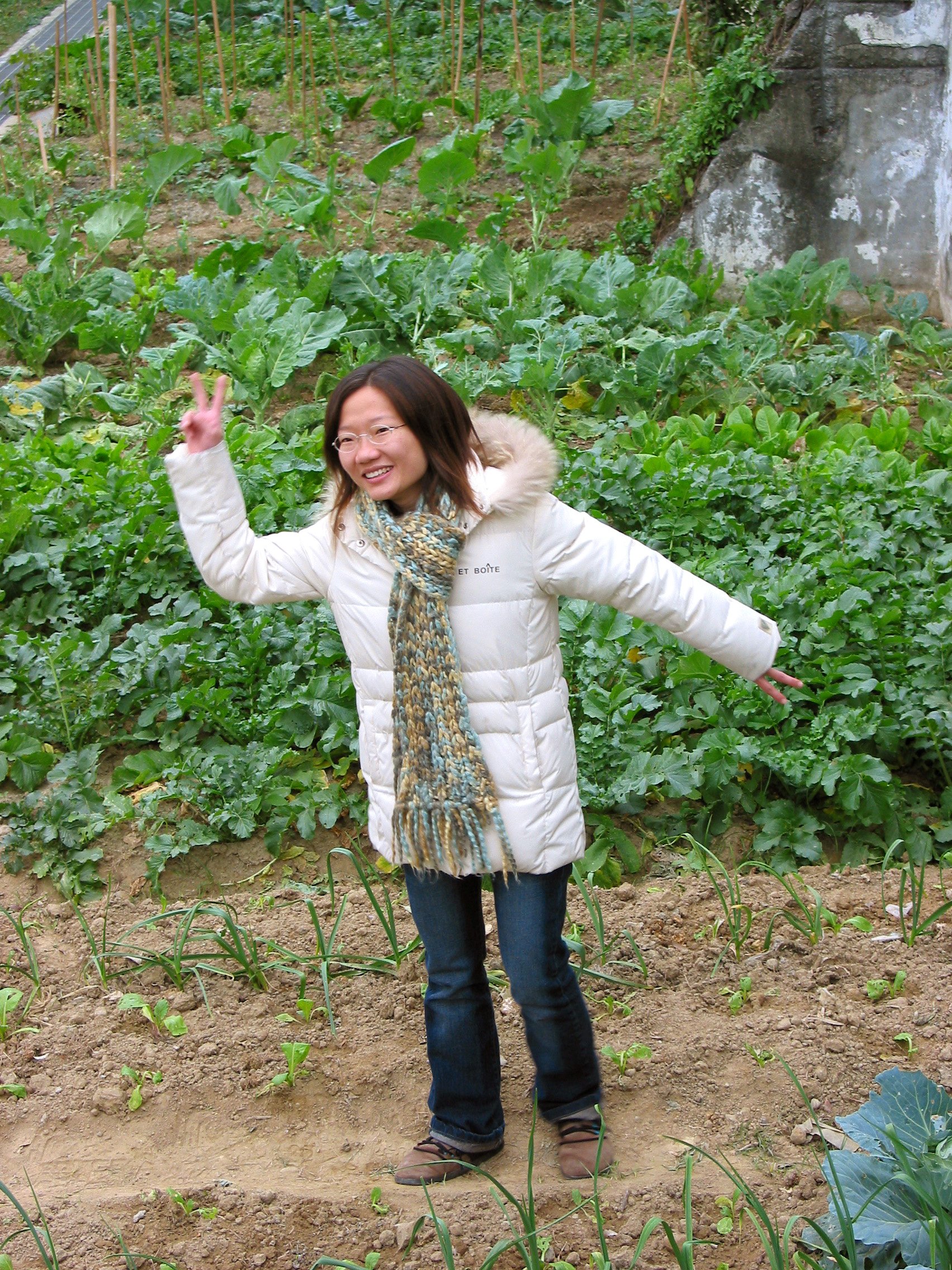 Bo Sho final.jpg