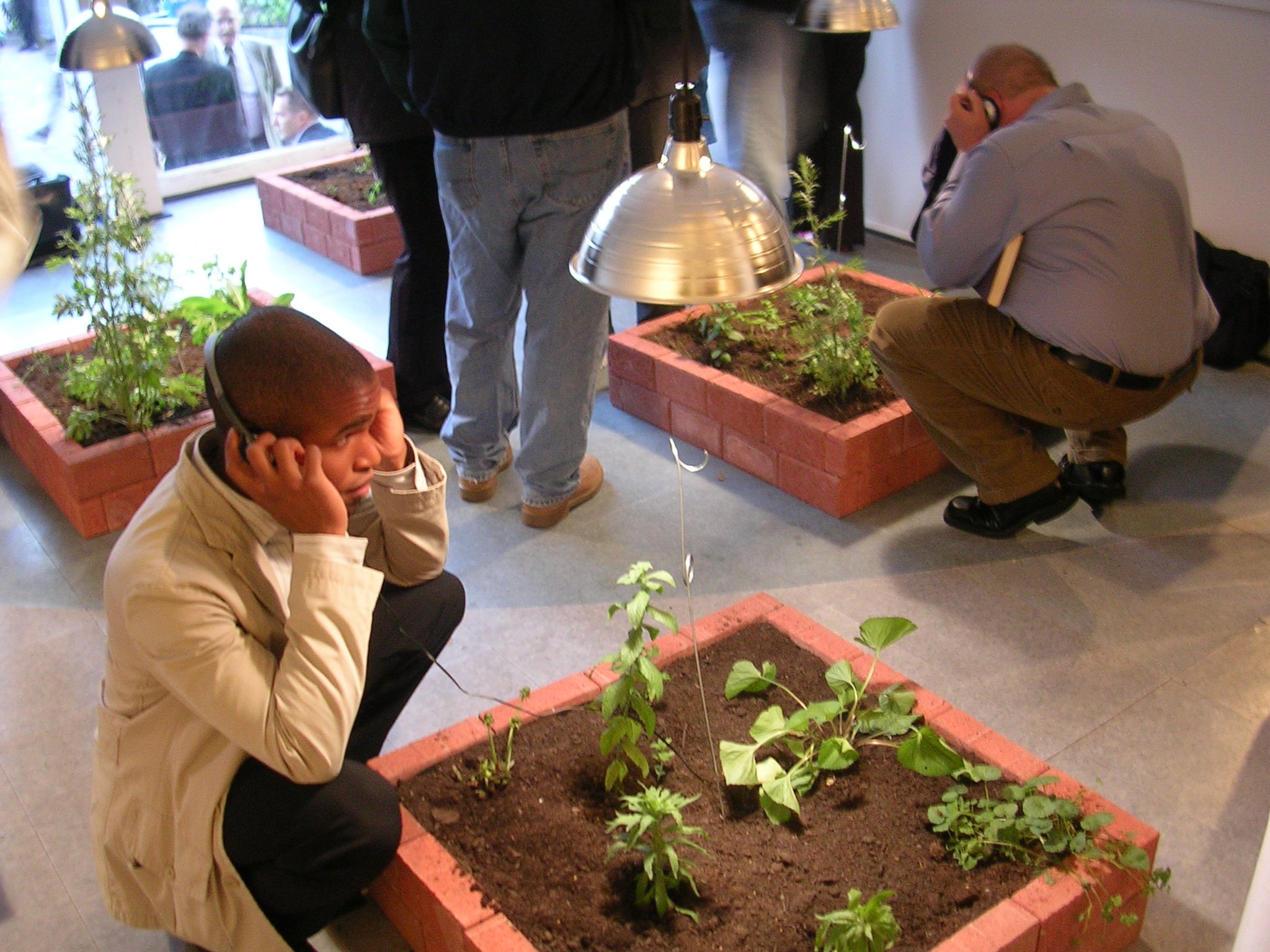 Title: Weeding Project (performance/sound-based installation) This was an experimental project that attempted to play 5 types of sound/noise, collected or often been heard at the BCG, to compare the growth of the weeds which audiences were encouraged