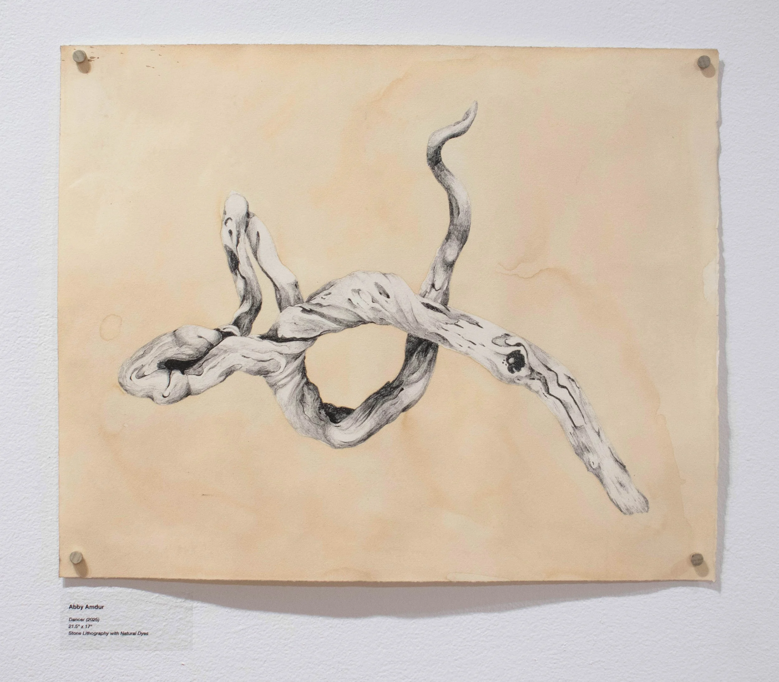 "Dancer", 21.5 x 17, Stone Lithography with Natural Dyes