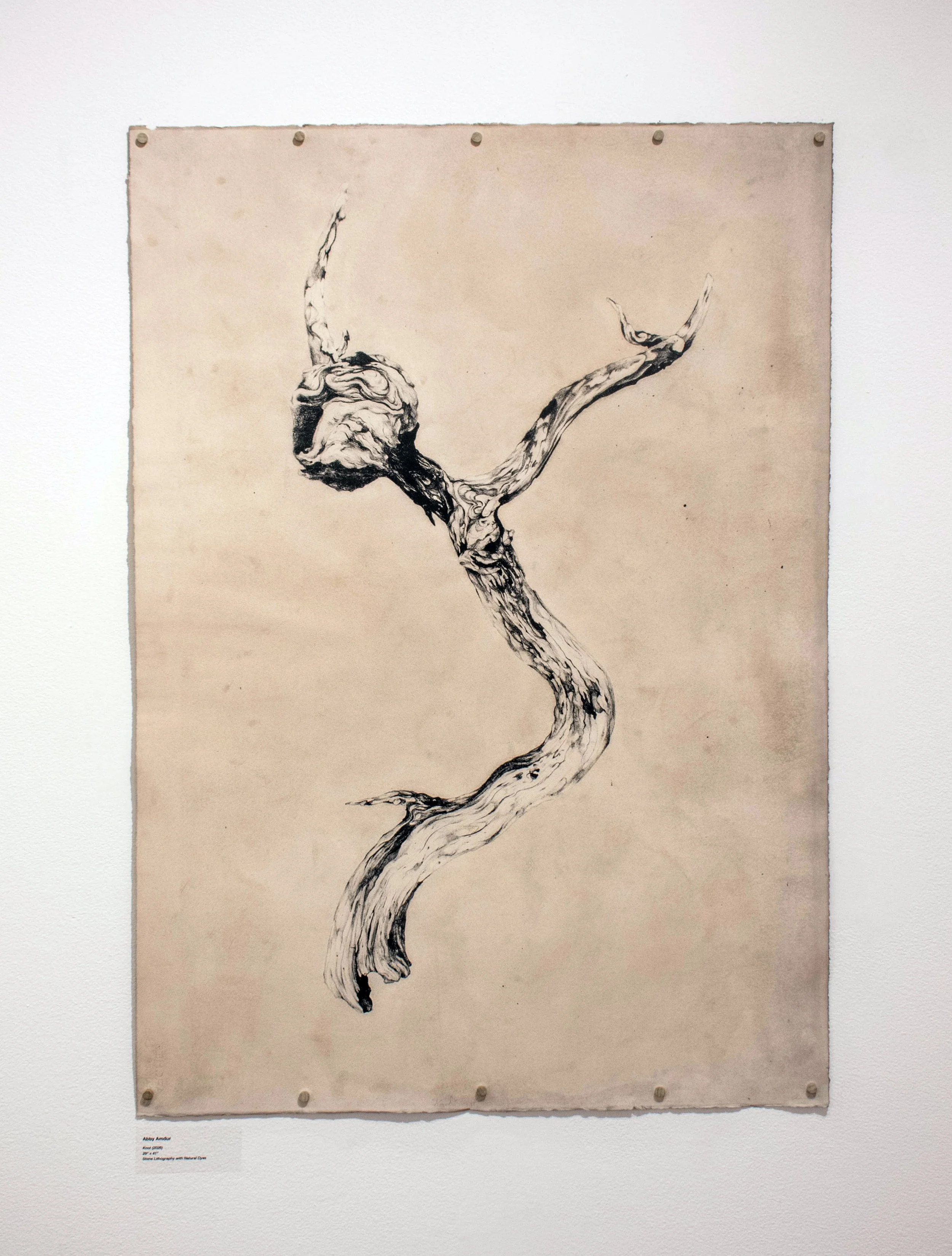 "Knot", 29 x 41, Stone Lithography with natural dyes