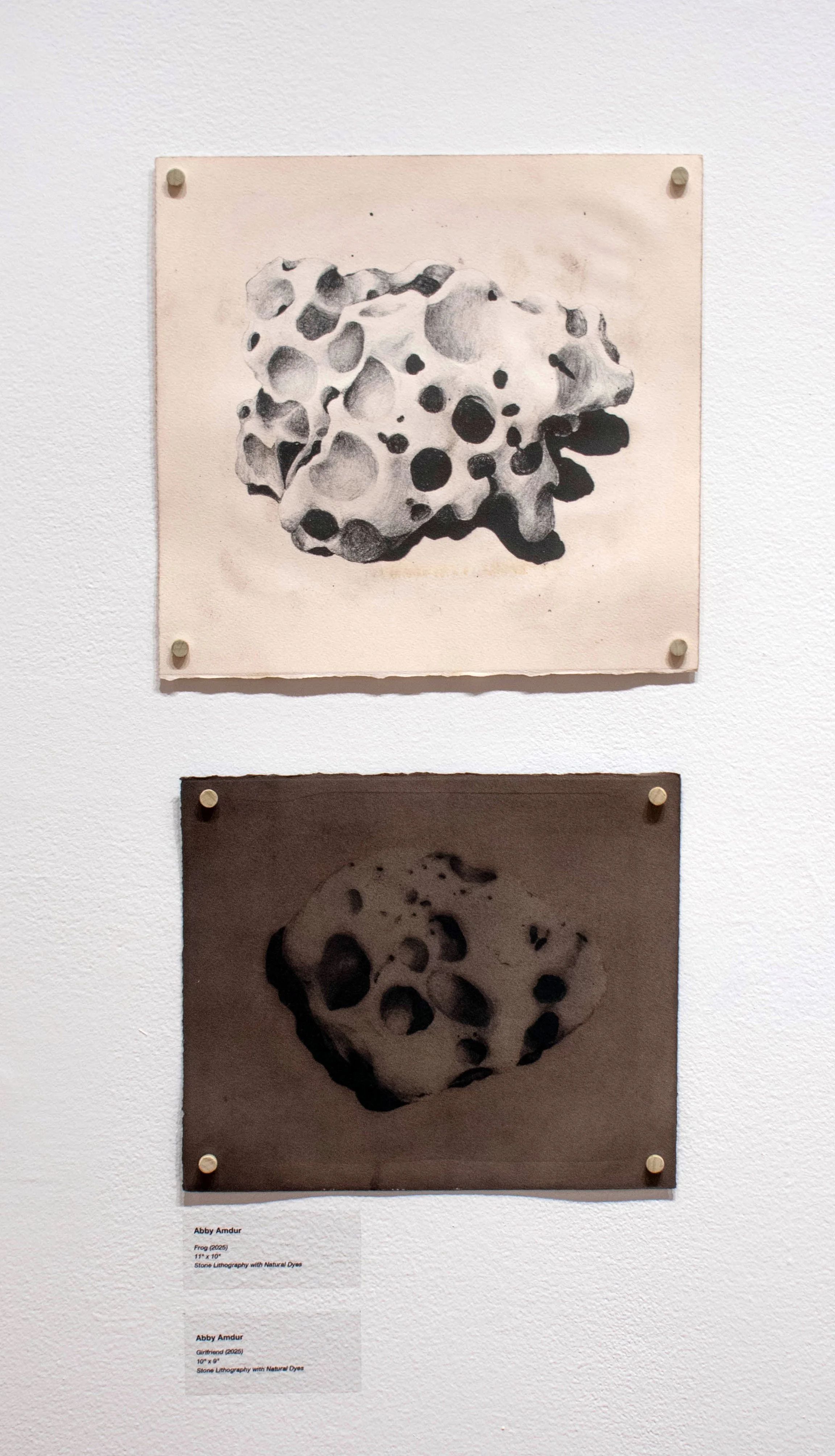 (Top) "Frog", 11 x 10, Stone Lithography with Natural Dyes
(Bottom) "Girlfriend", 10 x 9, Stone Lithography with natural dyes