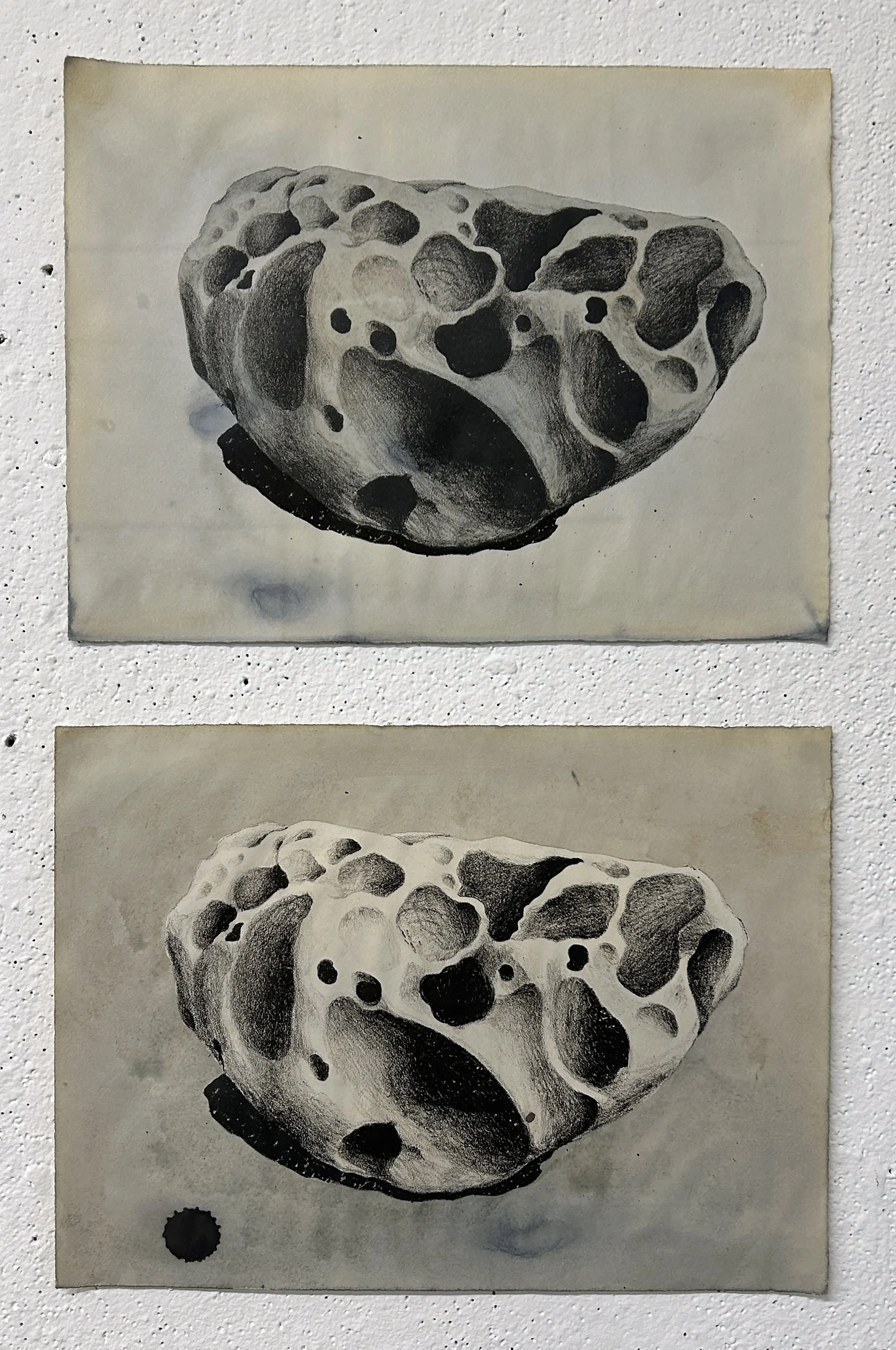"Stone Series", Stone Lithography with natural dyes