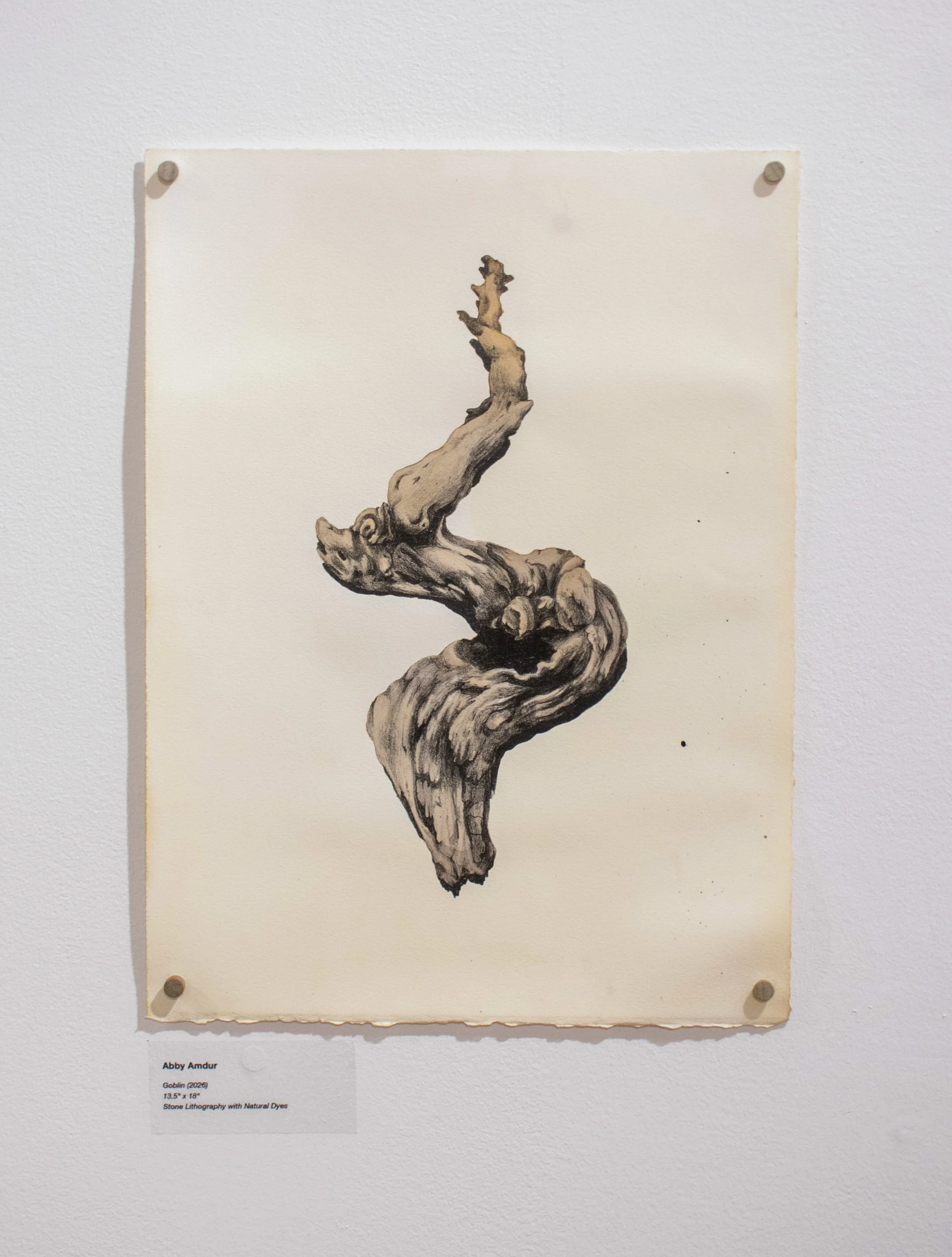 "Goblin", 13.5 x 18, Stone Lithography with Natural Dyes