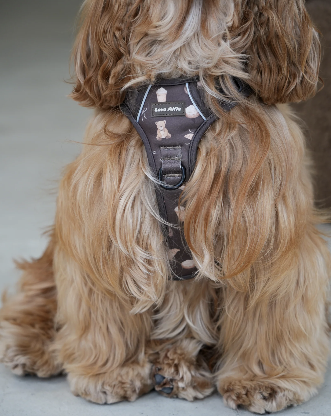 Screenshot 2026-02-27 at 5.09.58 pm.png