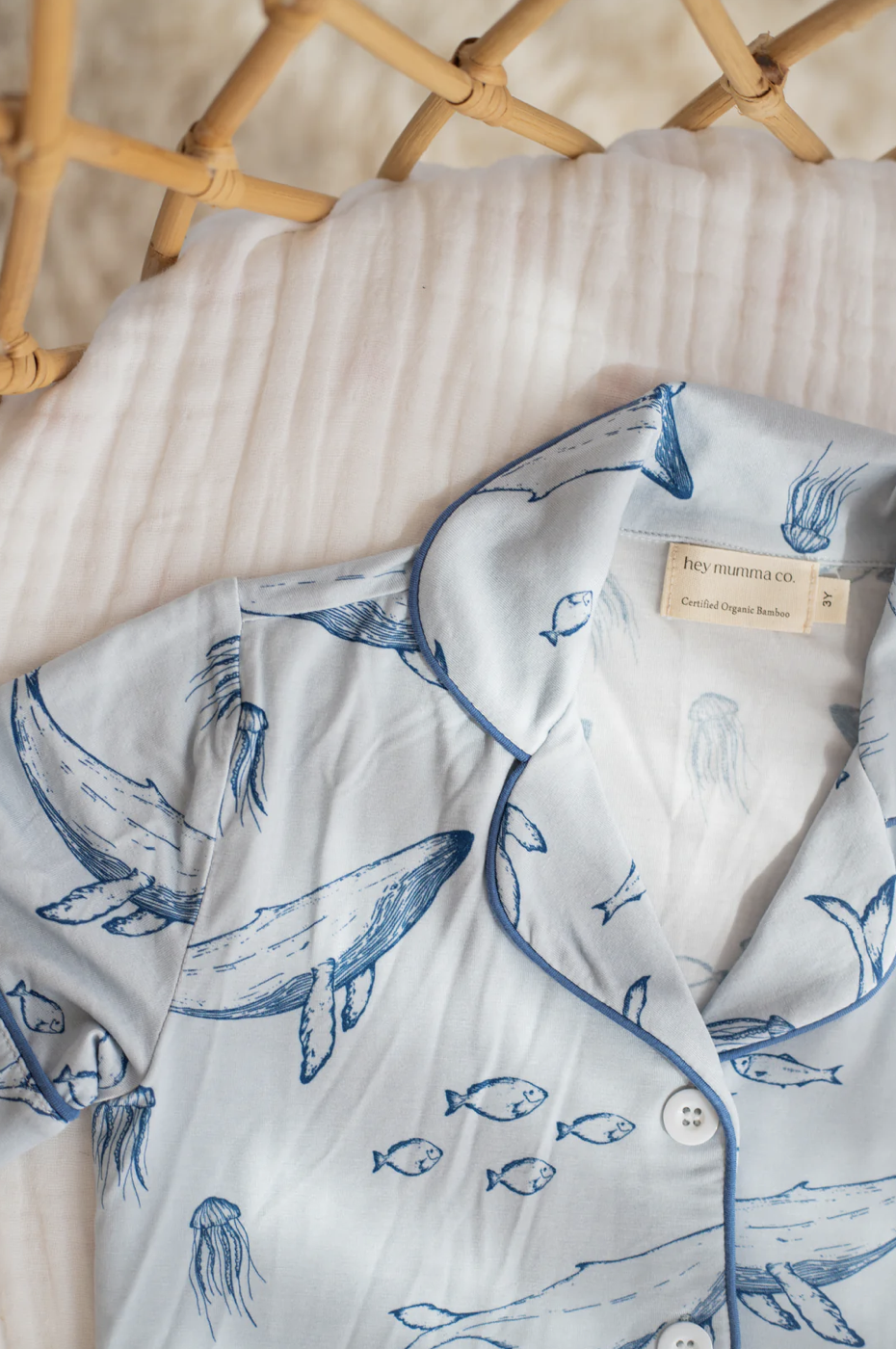 Screenshot 2026-01-19 at 9.29.25 am.png