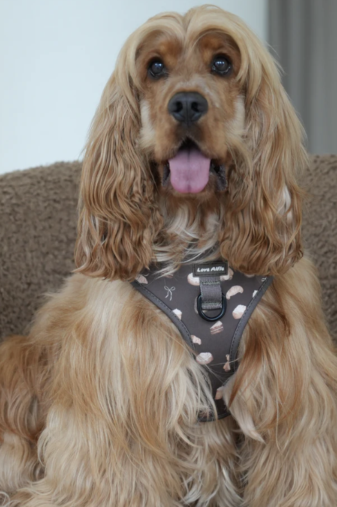 Screenshot 2026-02-27 at 5.10.32 pm.png