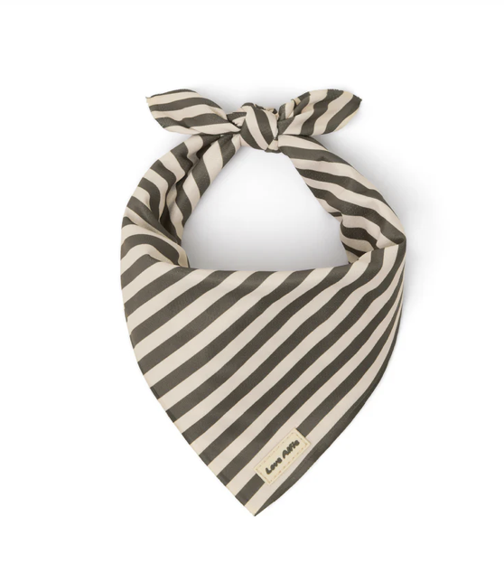 Screenshot 2026-02-27 at 5.06.58 pm.png