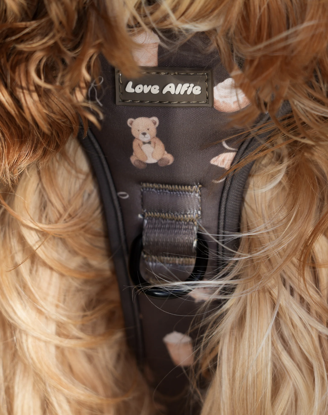 Screenshot 2026-02-27 at 5.09.45 pm.png