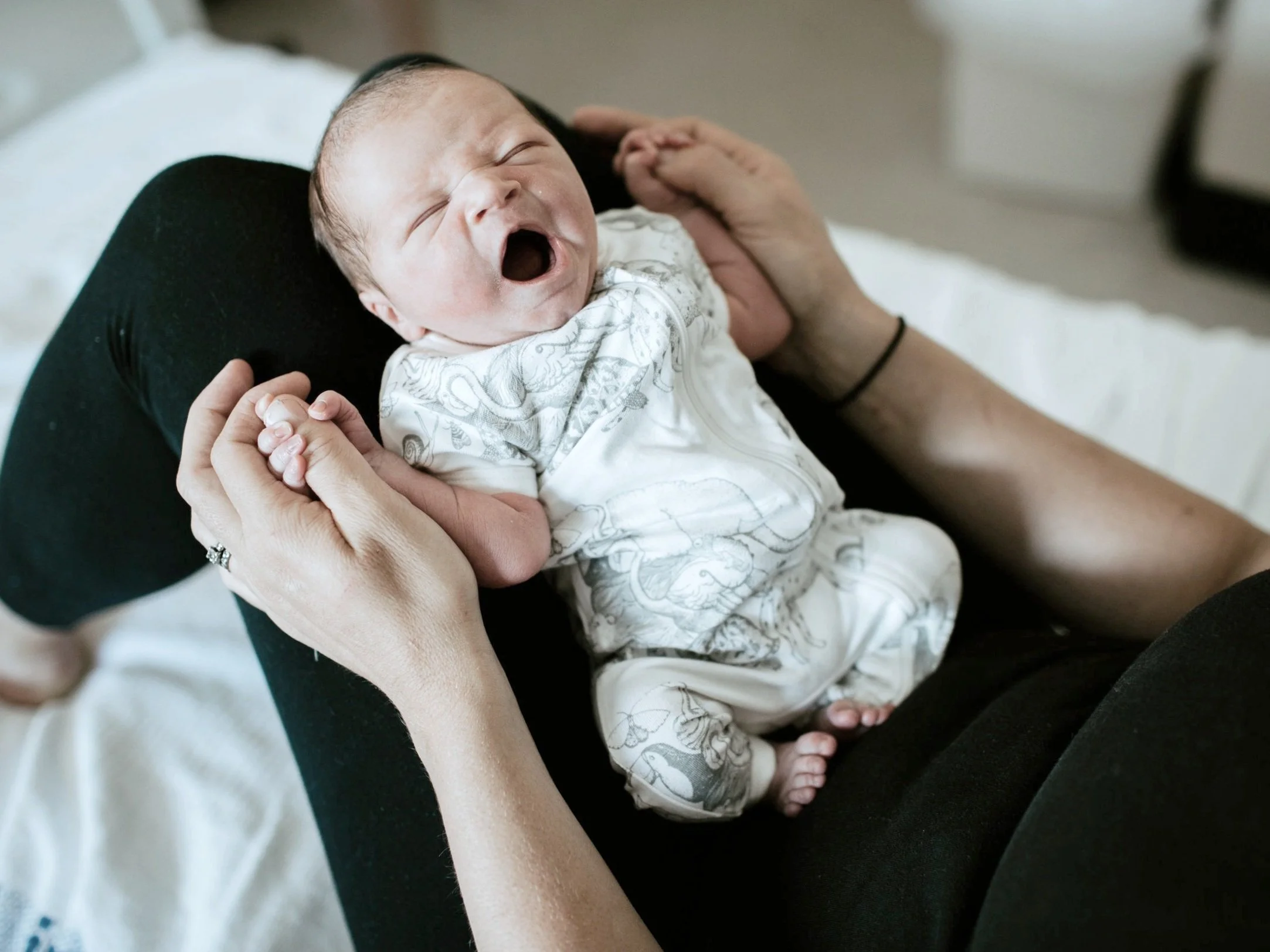 WELCOMING+WINSTON-476.jpg