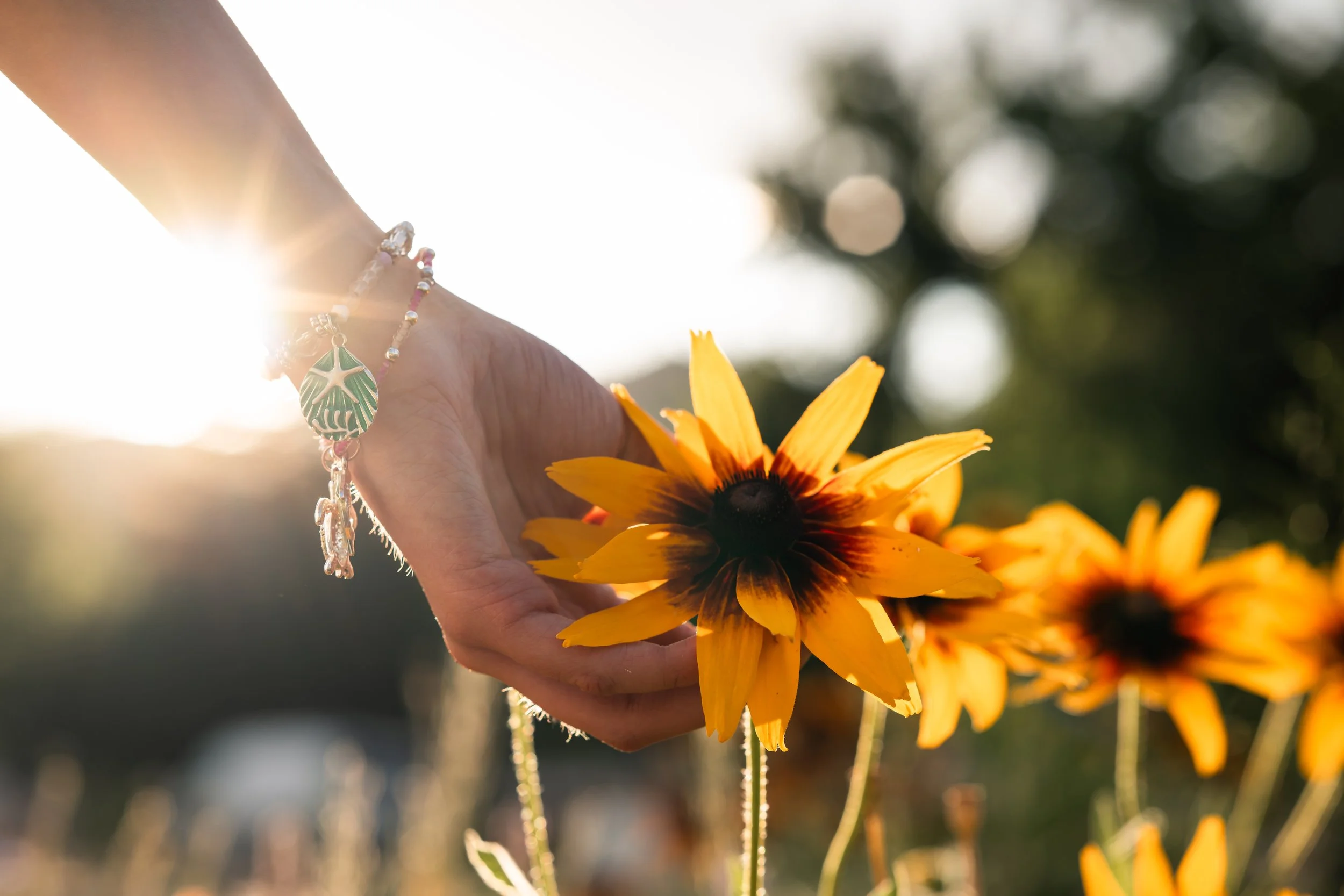 A girl's hand with bracelets special to her holds a sunflower with a sun flare in the background during her senior portraits in Boulder.
