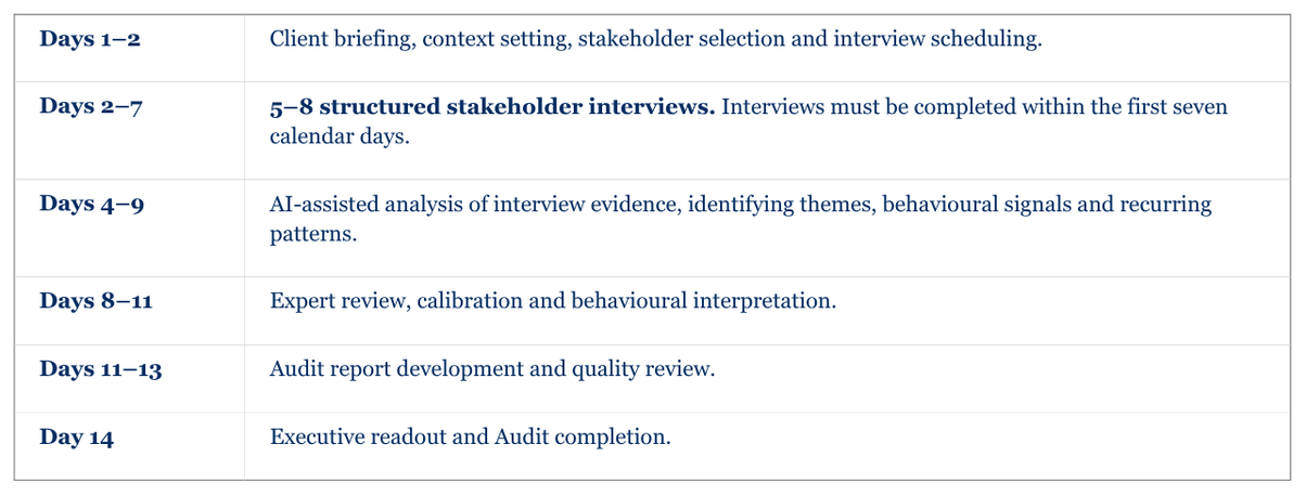 A schedule or timeline detailing activities over a two-week period, including client briefing, stakeholder interviews, AI analysis, expert review, audit report development, and an executive readout.