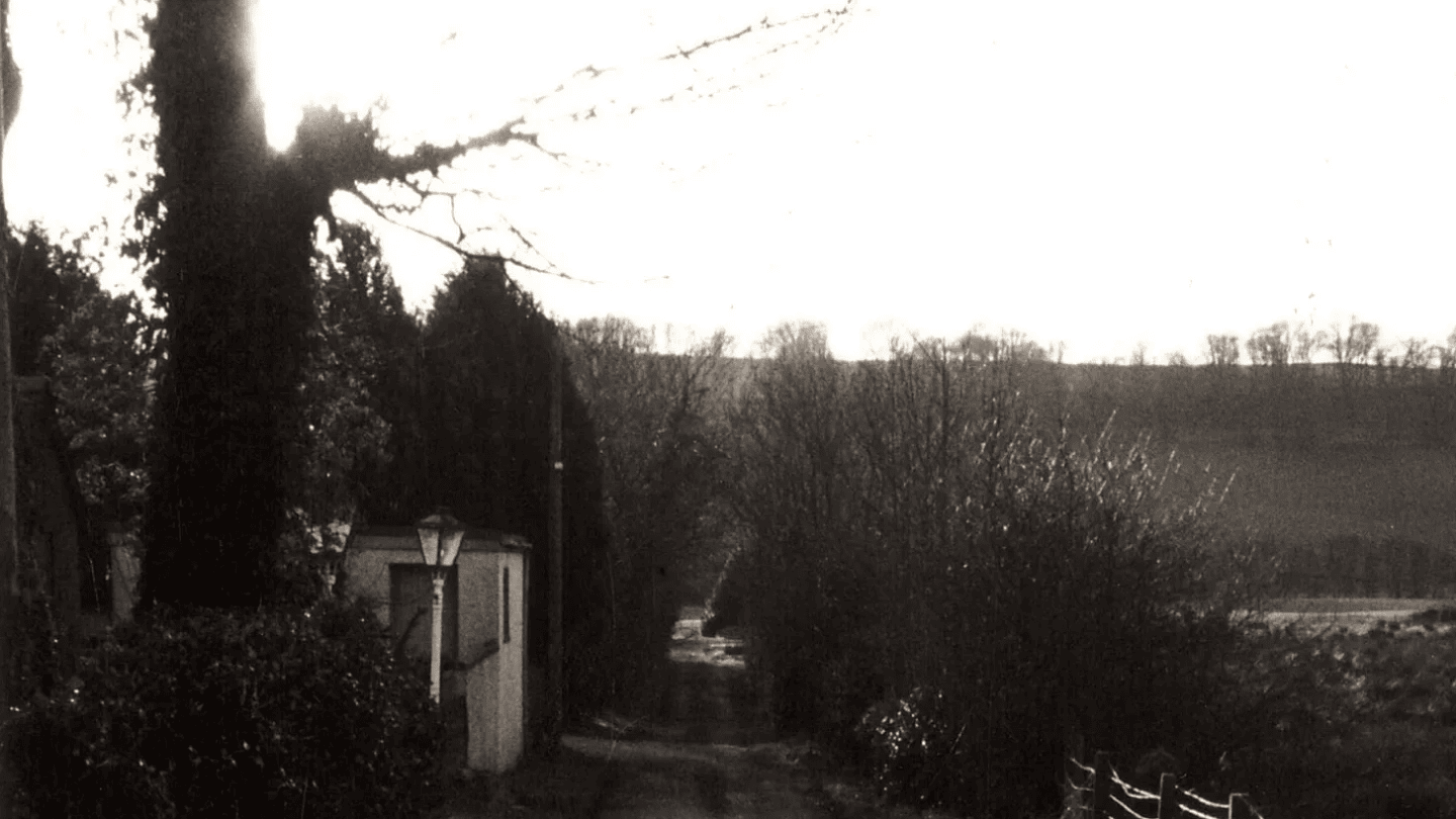 A country lane with trees and a lane