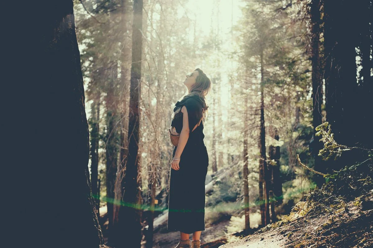 Contemplation
