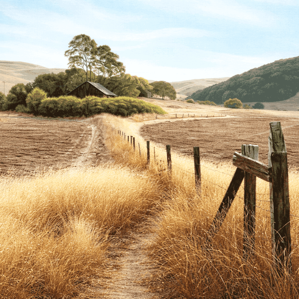 Deep Life Reflections - Issue 148