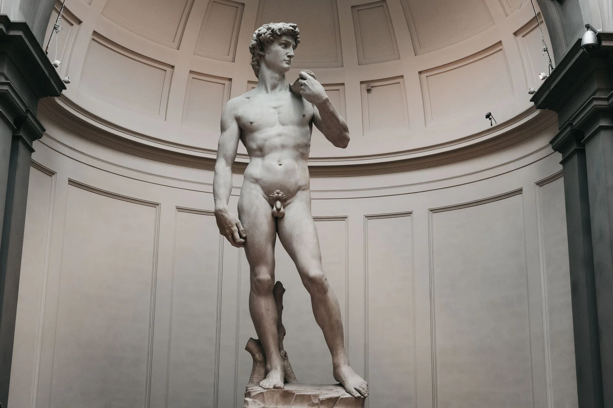 Michelangelo's statue David