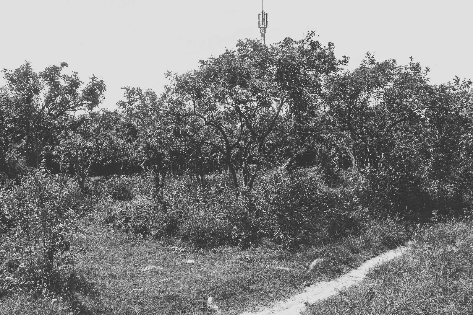 Killing Fields-08.jpg