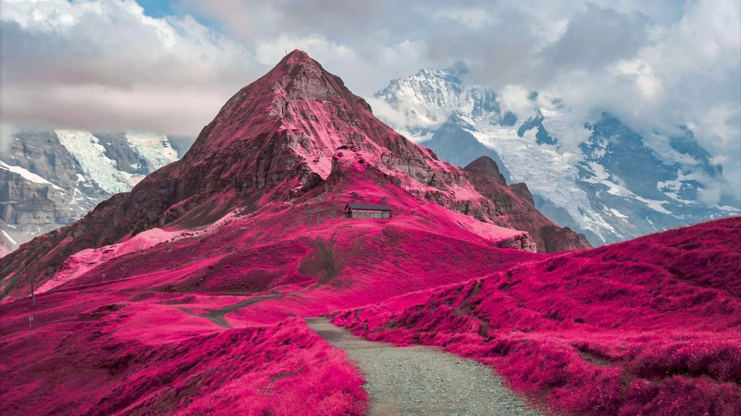 A photograph of a Swiss mountain bathed in pink using infrared