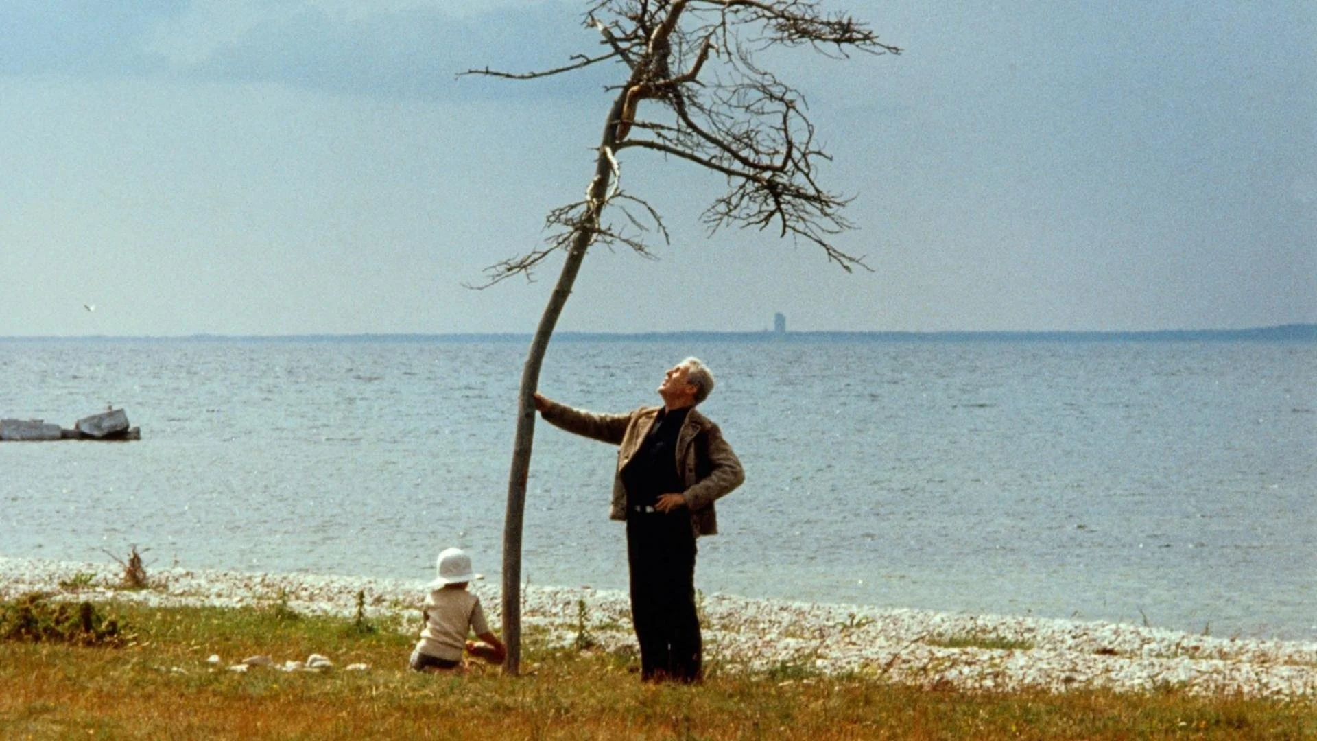 A man and a young boy stand in front of a tree in front the sea
