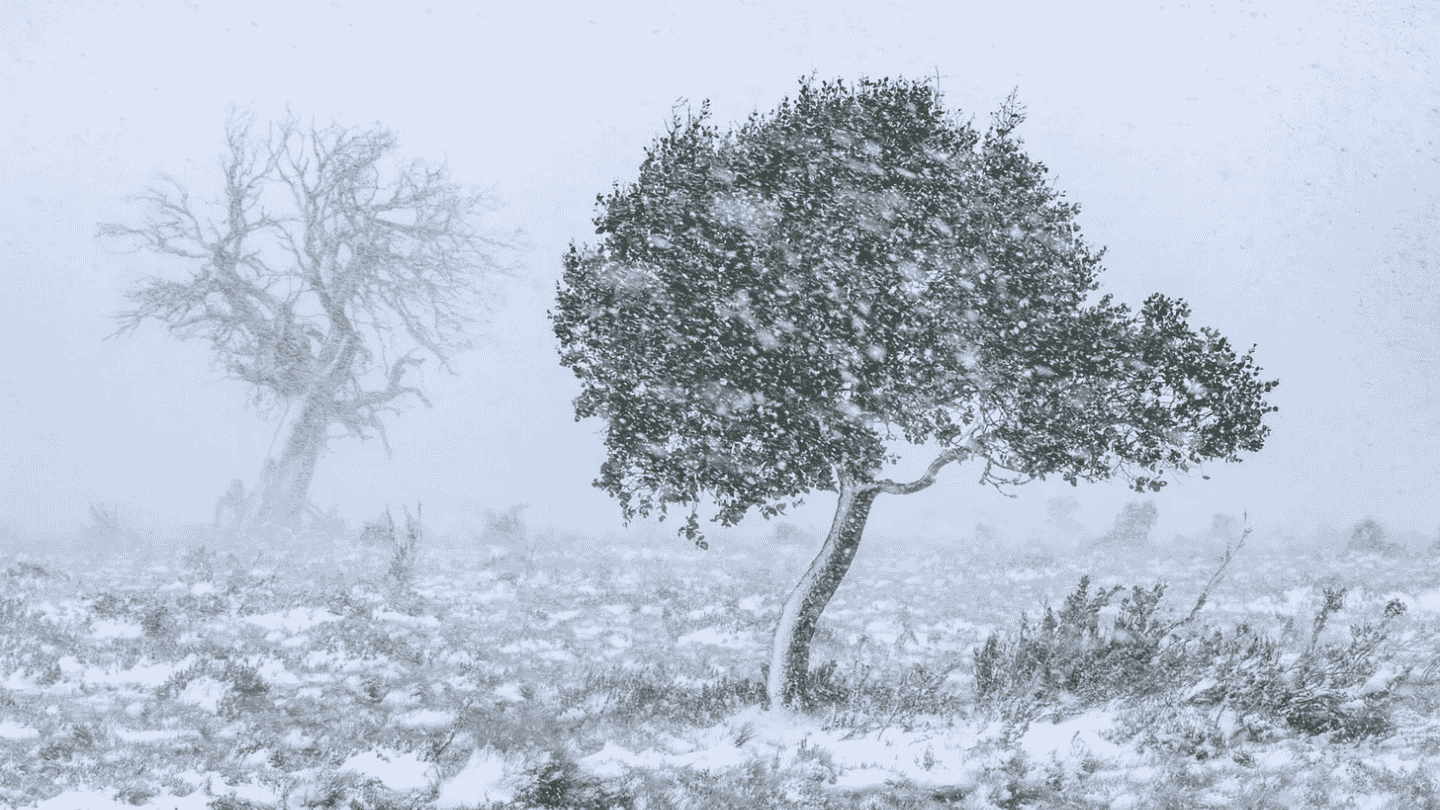 The Beauty of Impermanence