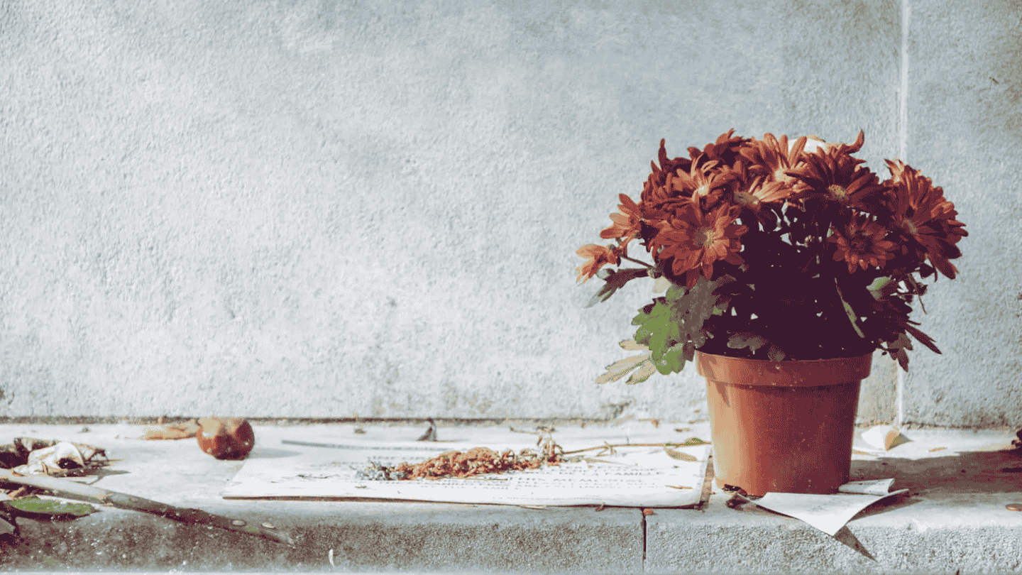 The Return of Autumn