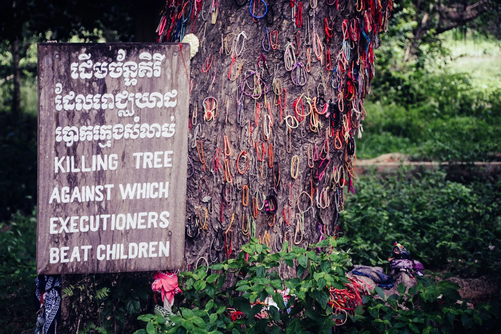 Killing Fields-14.jpg