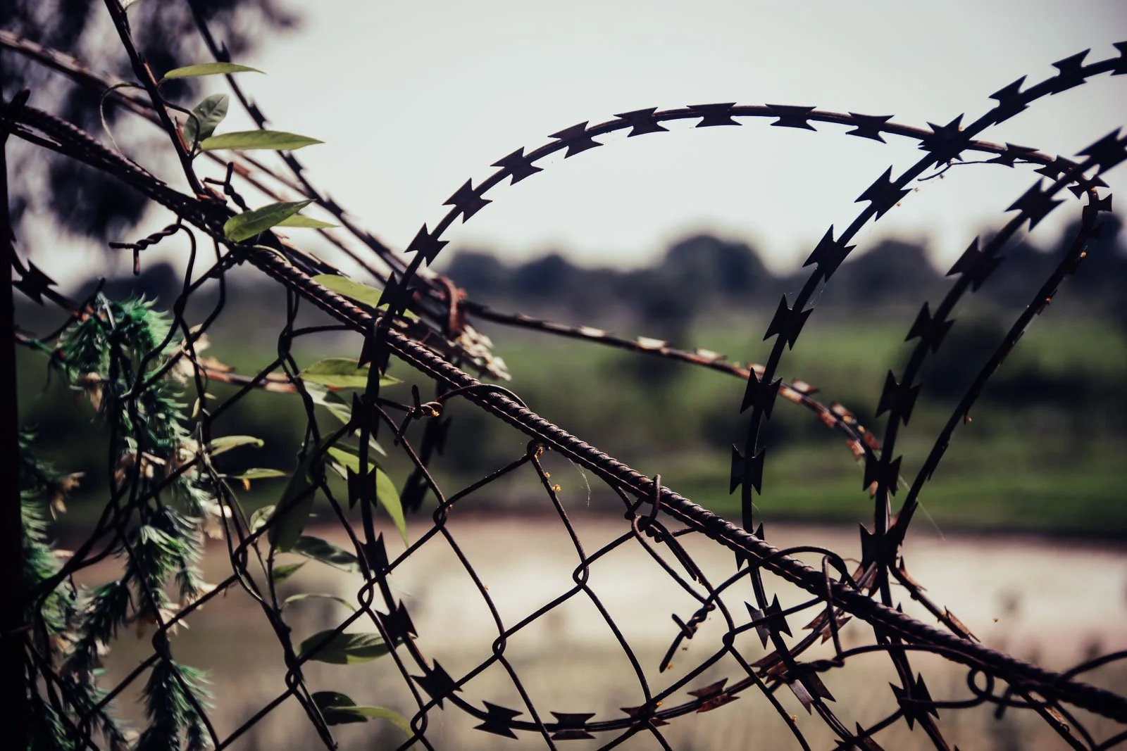 Killing Fields-09.jpg
