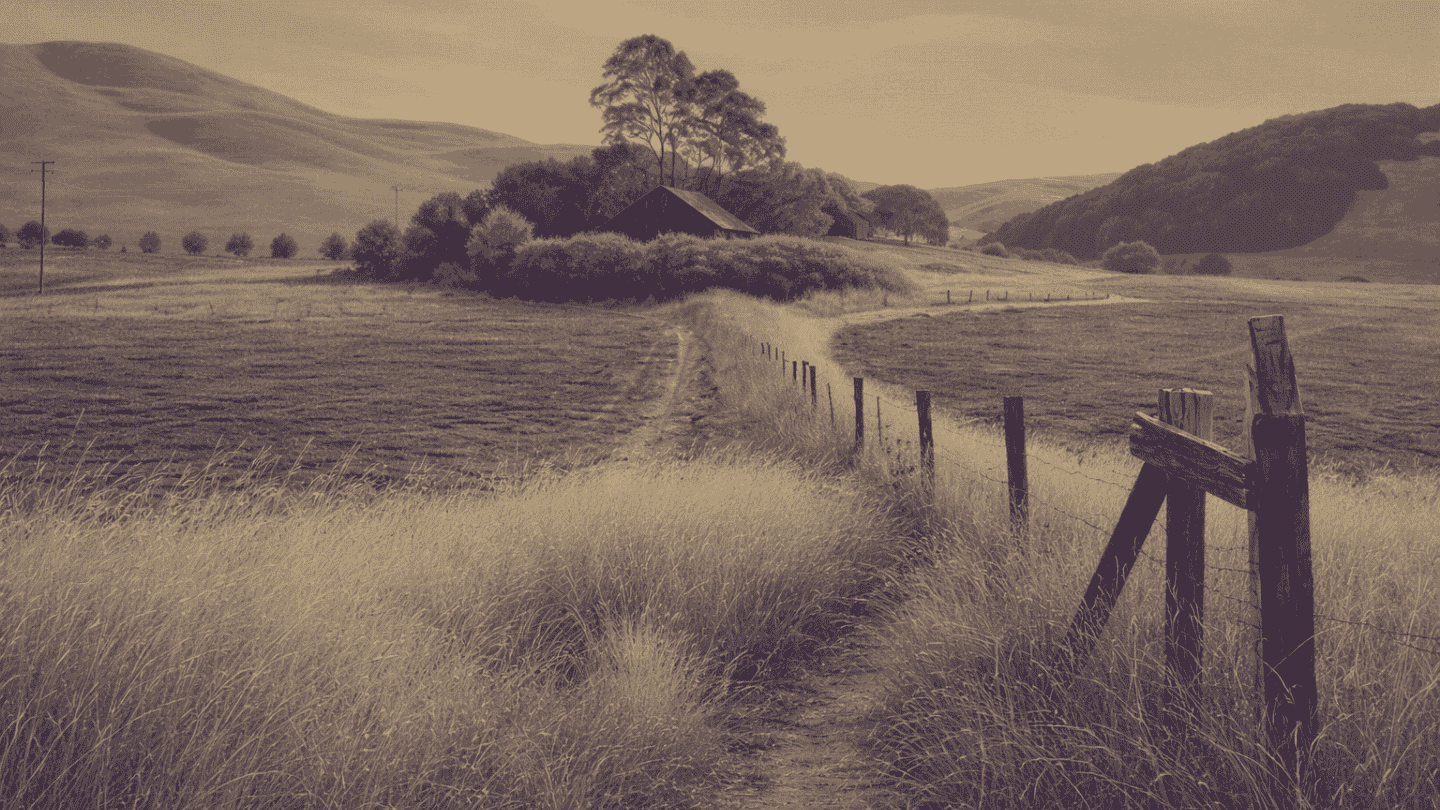 A small house in flowing fields