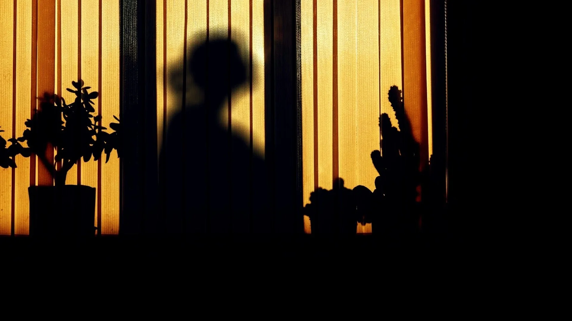 The Right to Remain Unseen