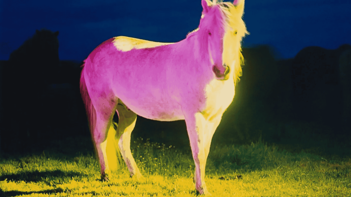 A painting of a horse bathed in pink light