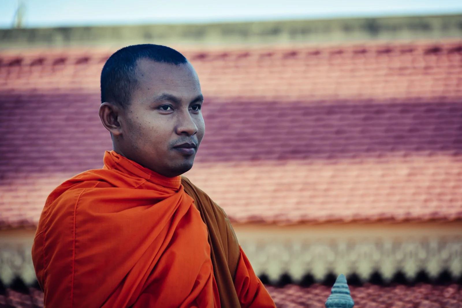 Killing Fields-01.jpg