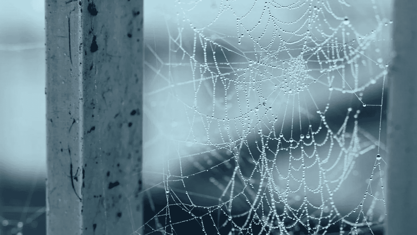 How Habits Form Like Frost