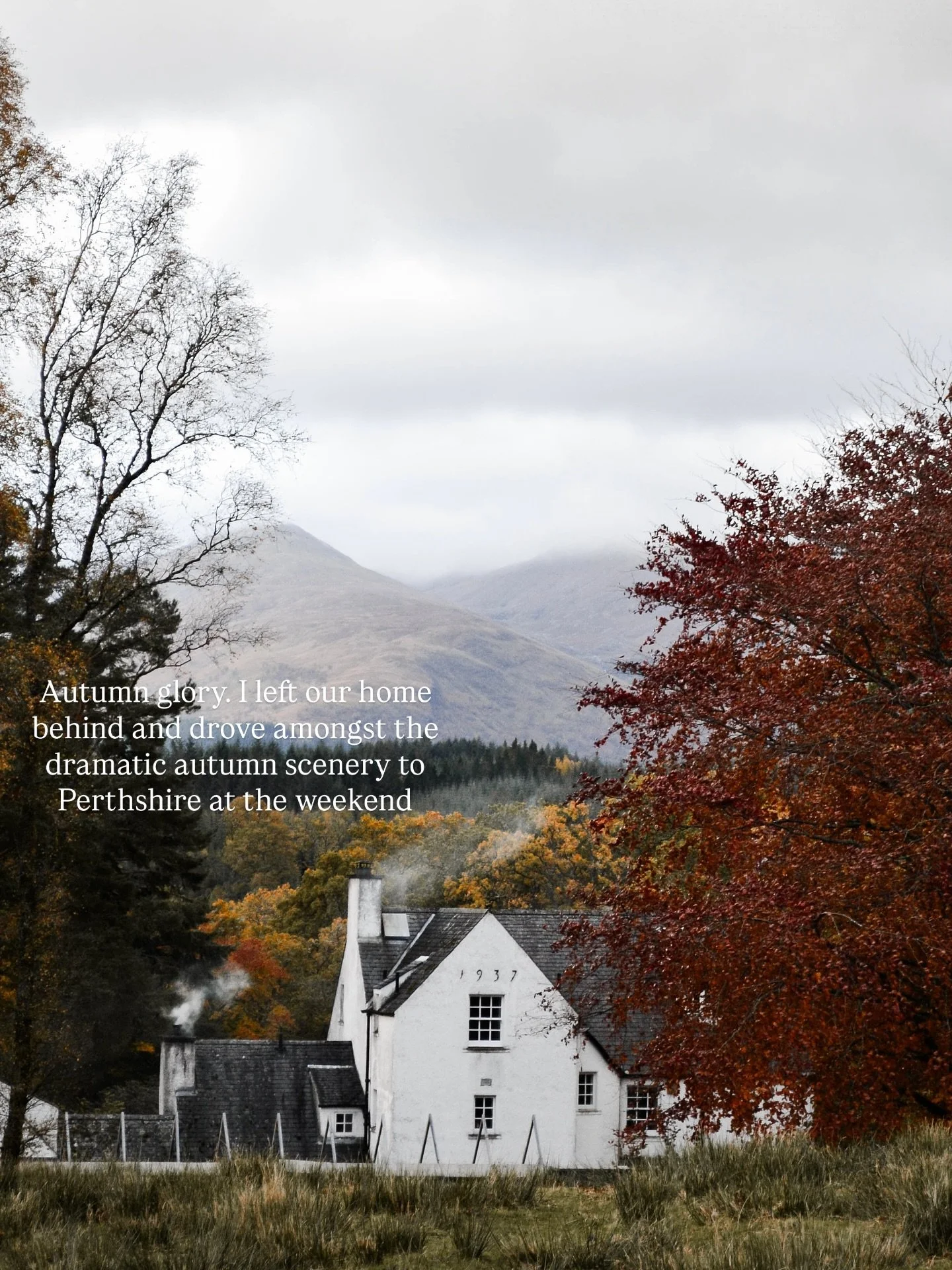 Autumn has arrived in all it&rsquo;s glory in the Scottish Highlands. The drive to Perthshire was stunning at the weekend with the trees turned gold and red🍁

I went to @guardswellfarm to celebrate @florashedden beautiful new book Winter in the High