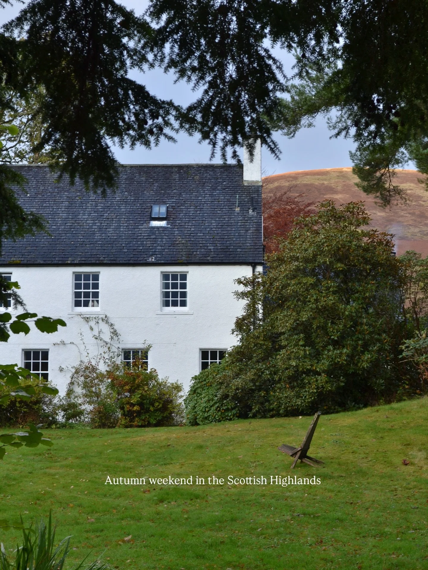 Autumn in the Highlands π
A colourful weekend at home — the leaves showing off their best shades, and so many apples this year! We’ve been busy pressing them with the boys, bottling up fresh apple juice and pasteurising it on the cooker