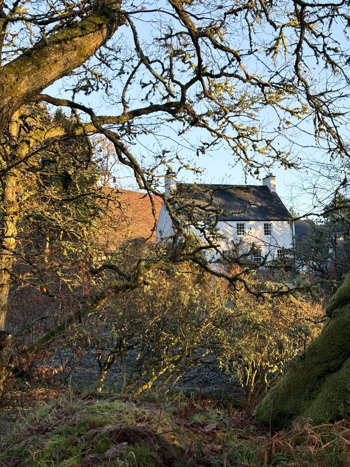 November 🤎

Can&rsquo;t believe that&rsquo;s November over already. It&rsquo;s been a very busy month, which has flown by! We have been working all hours to get  the new build finished and also doing many production runs in the old butchershop🦌

A 