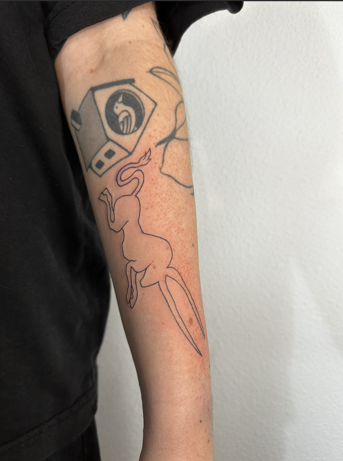 Captura de pantalla 2026-01-12 a las 12.44.10.png