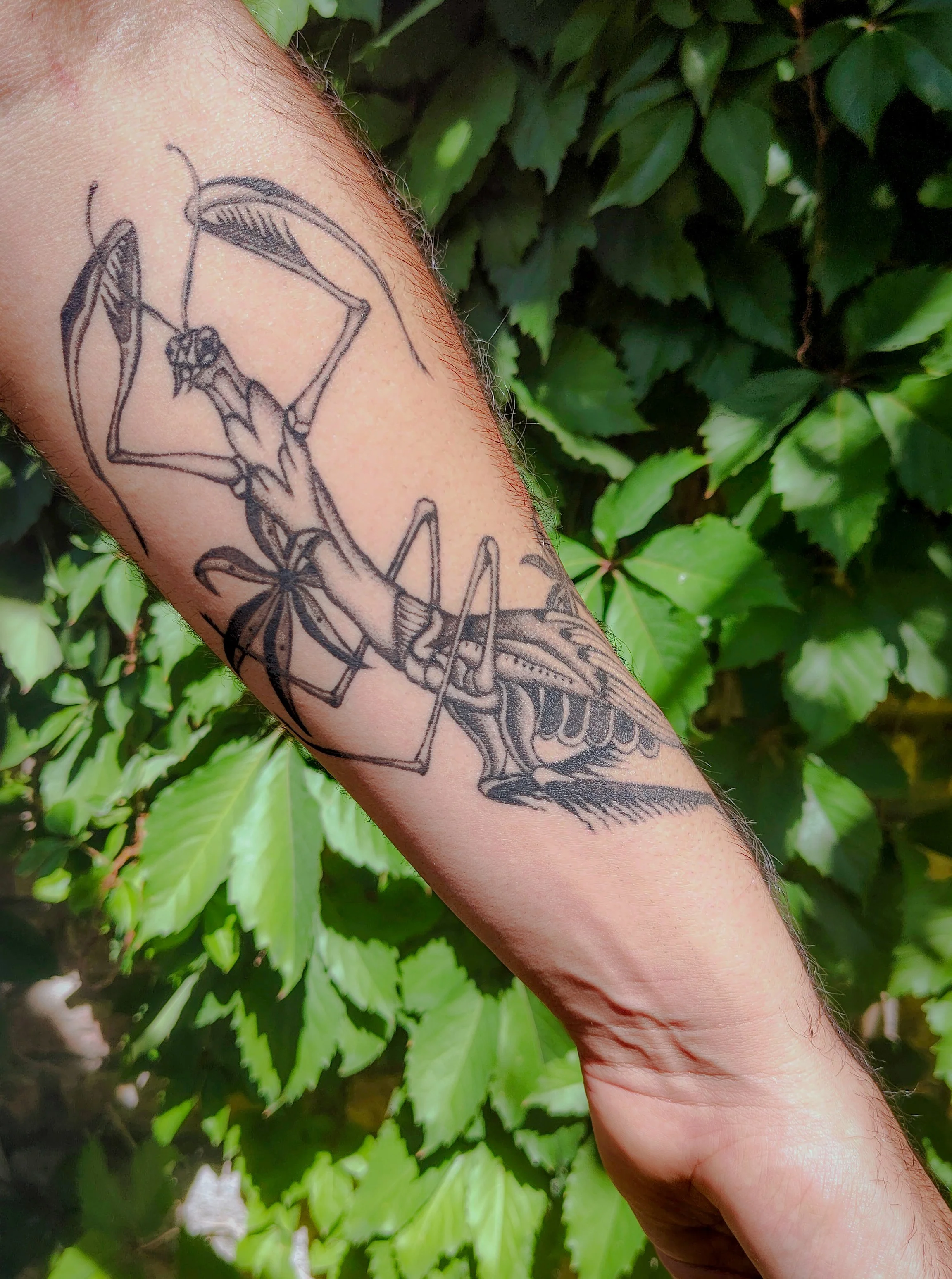 Tattoo design in Barcelona by Maria Oldecop