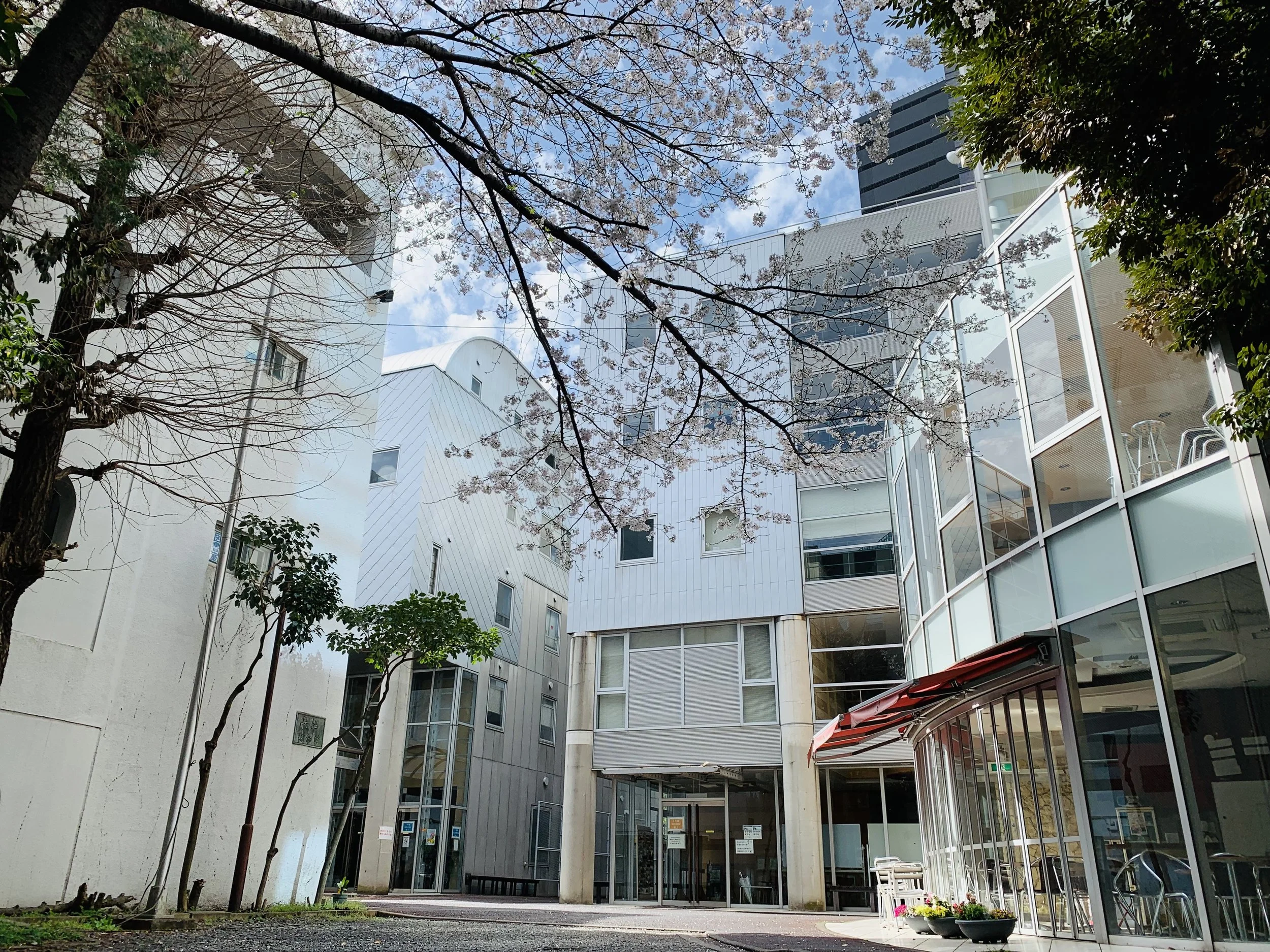 长沼スクール校舍与庭院