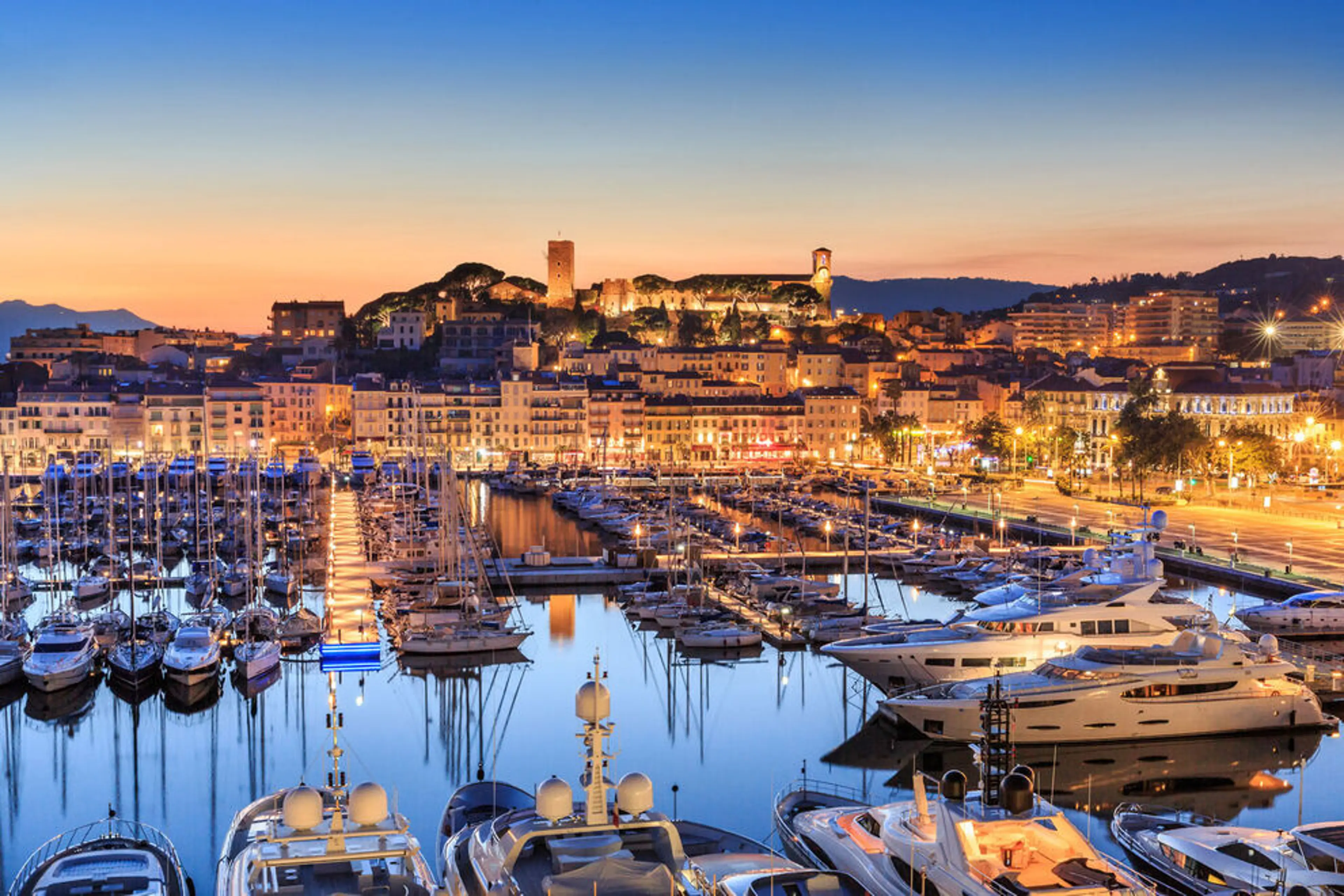 The Not-Going-to-Cannes-Lions Marketer and Creator's Survival Guide