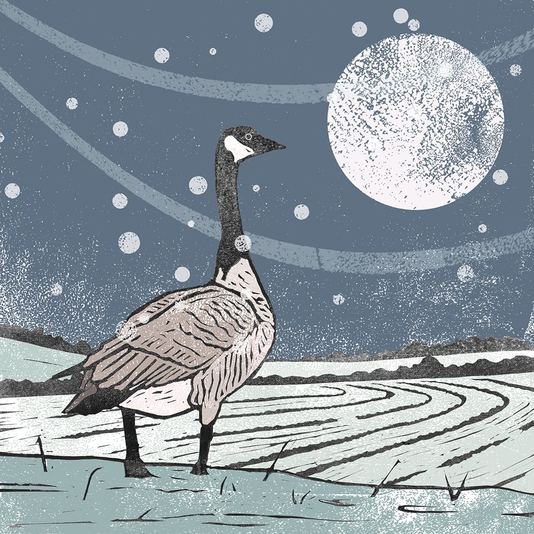 goose xmas card 2025 web.jpg