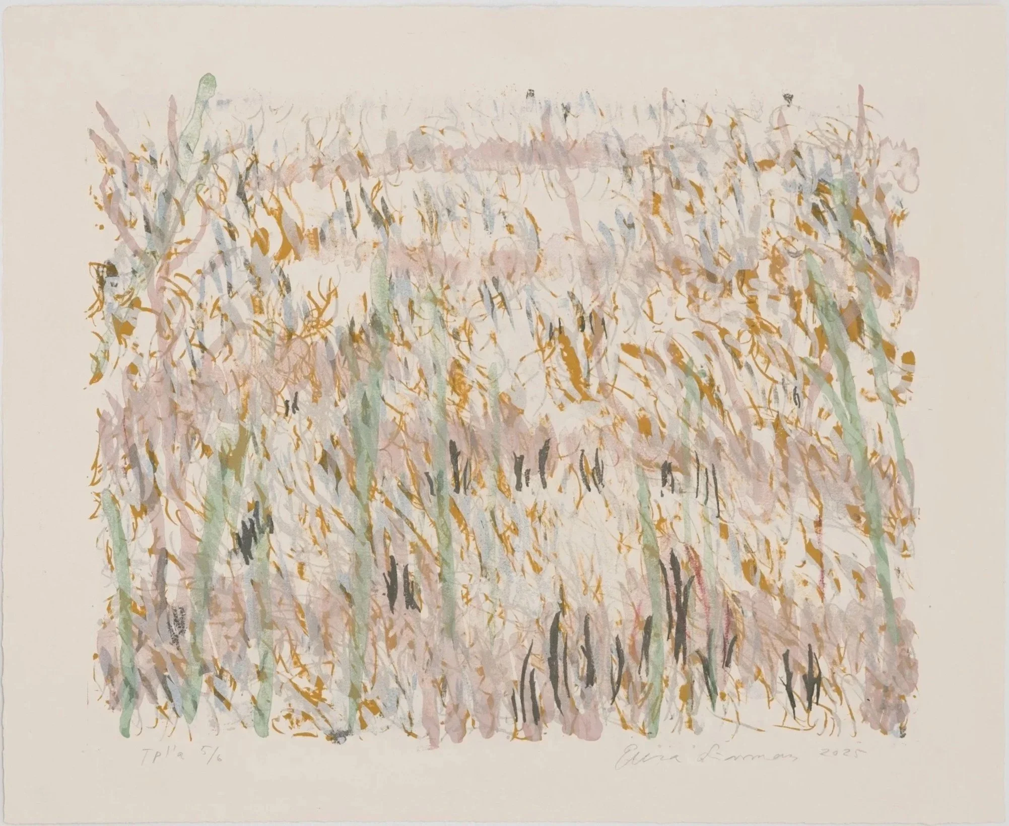Meadow Memory 2026, stone lithograph, 56 X 68 cm