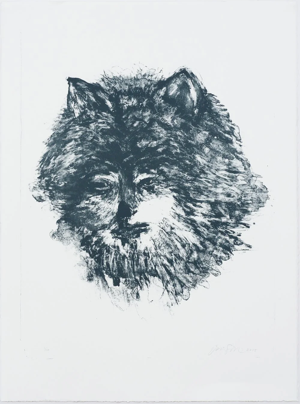 Suodenmorsian 2015, stone lithograph, 76 X 56 cm
