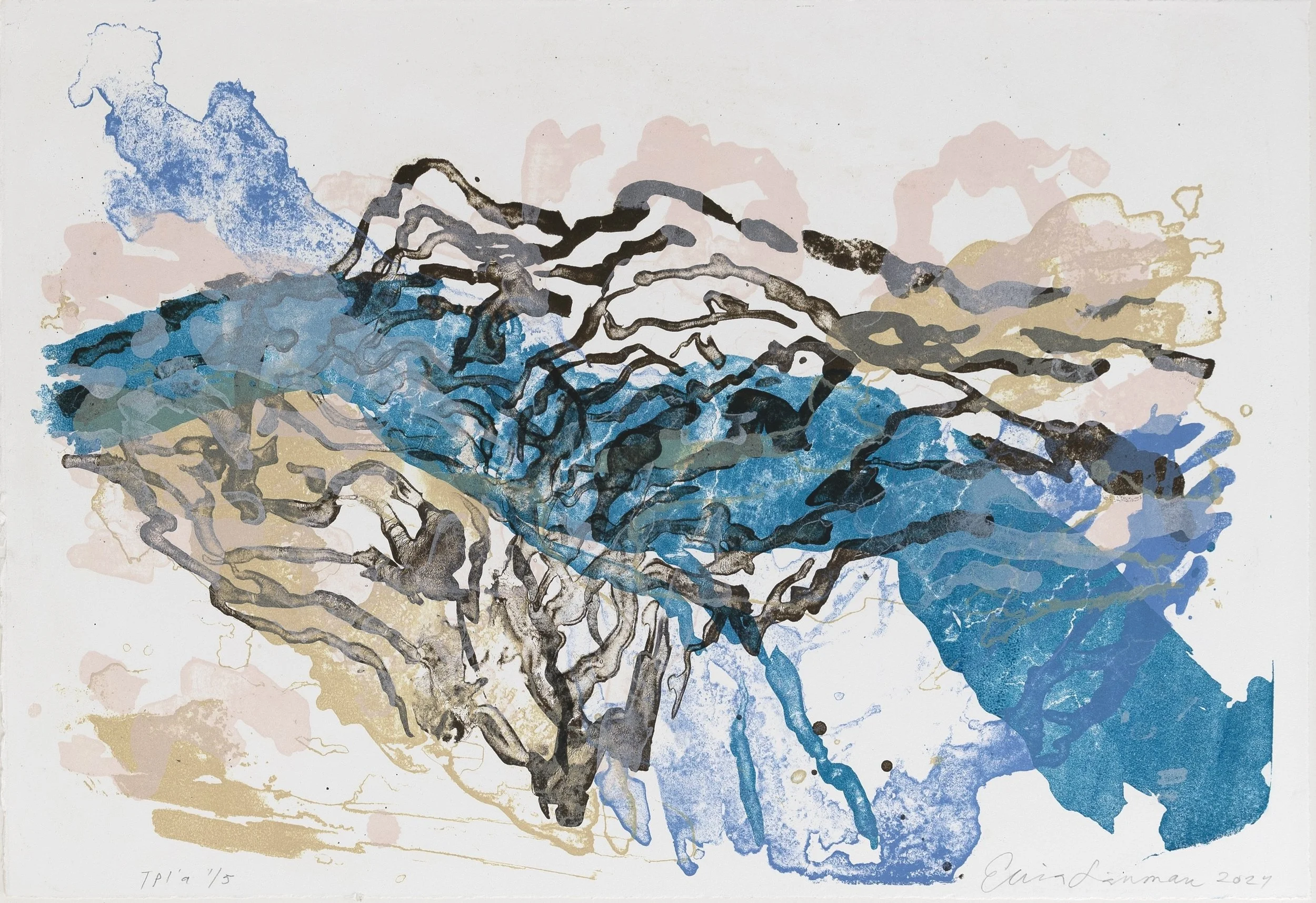 Uoma 2024, stone lithograph, 37 X 55 cm