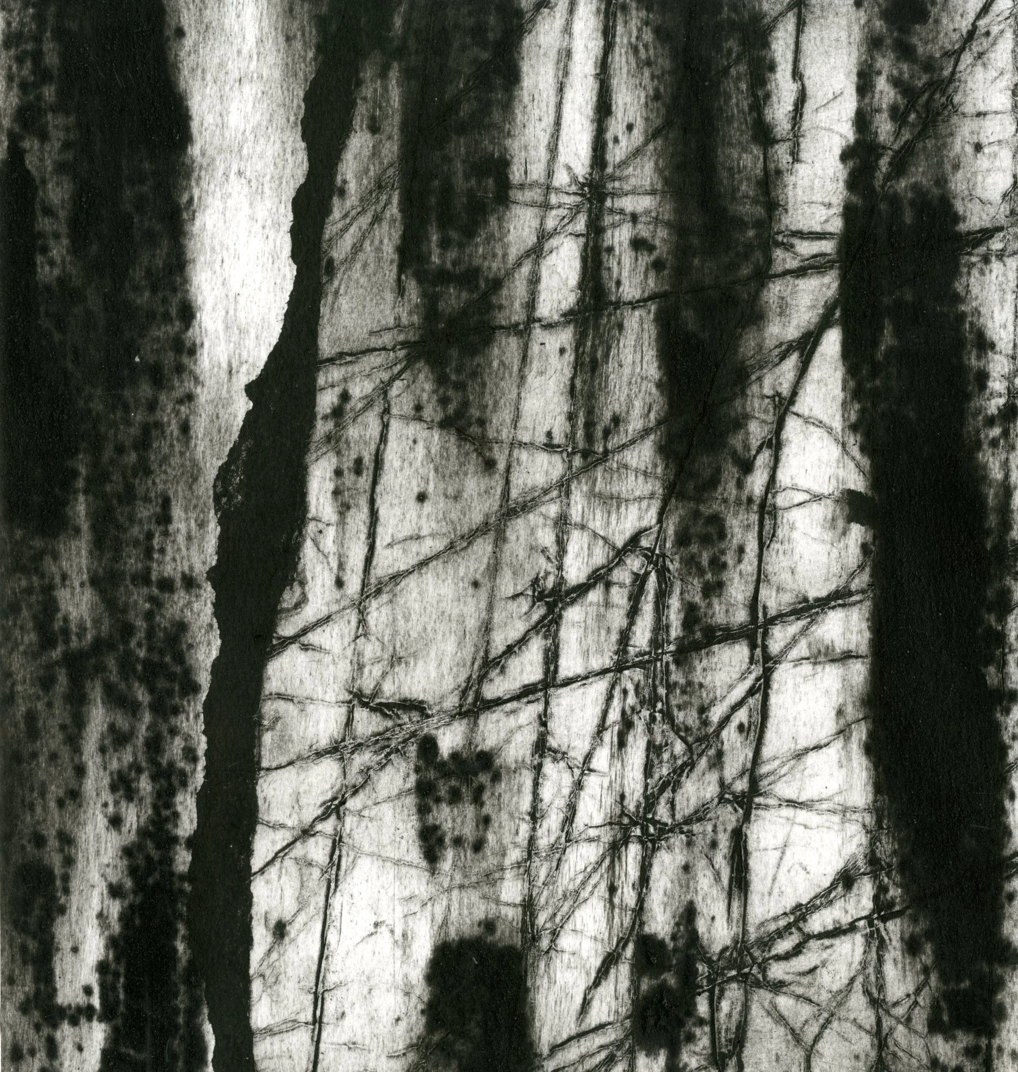 Collide a, 2025, collagraph, 24 x 27cm