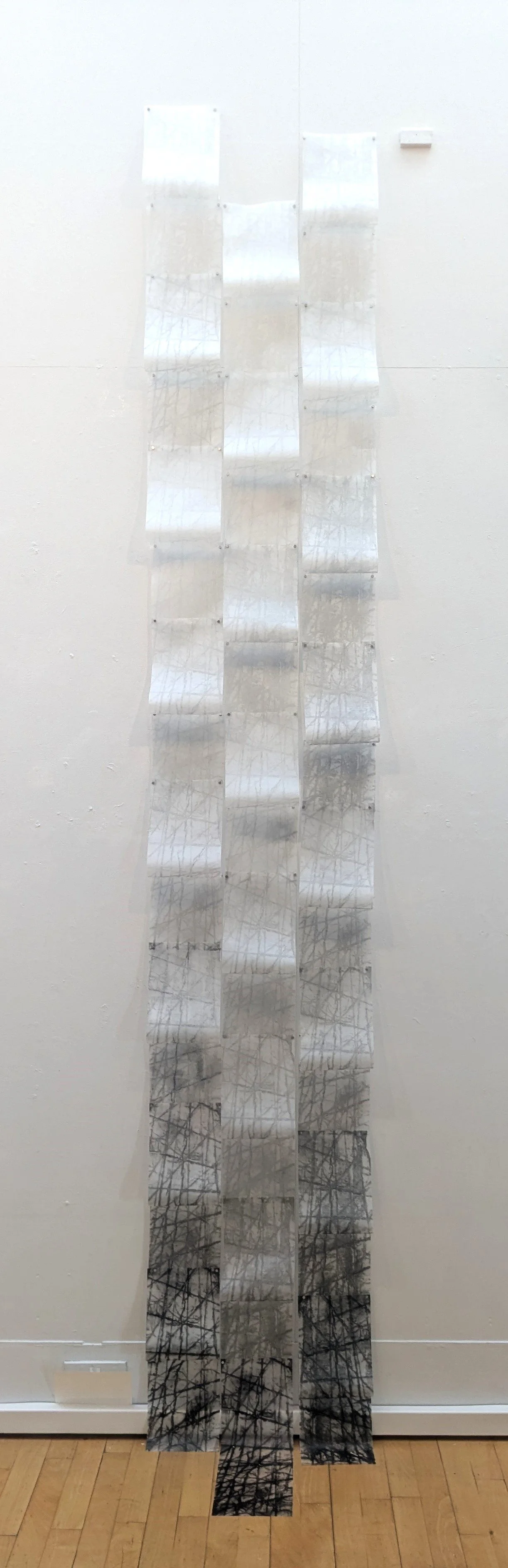 Verticality, 2025, collagraph installation, 51 x 252cm