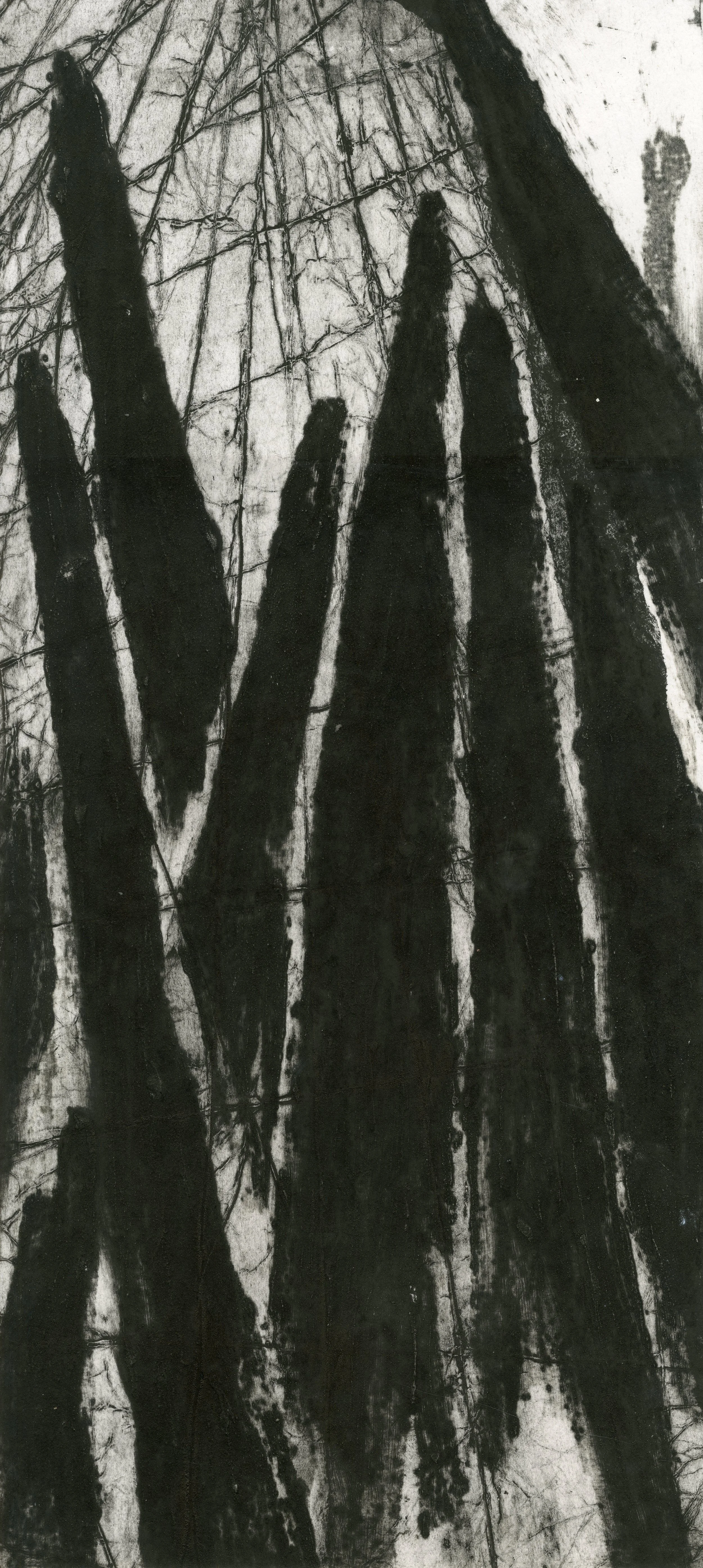 Collide X, 2025, collagraph, 26 x 57cm