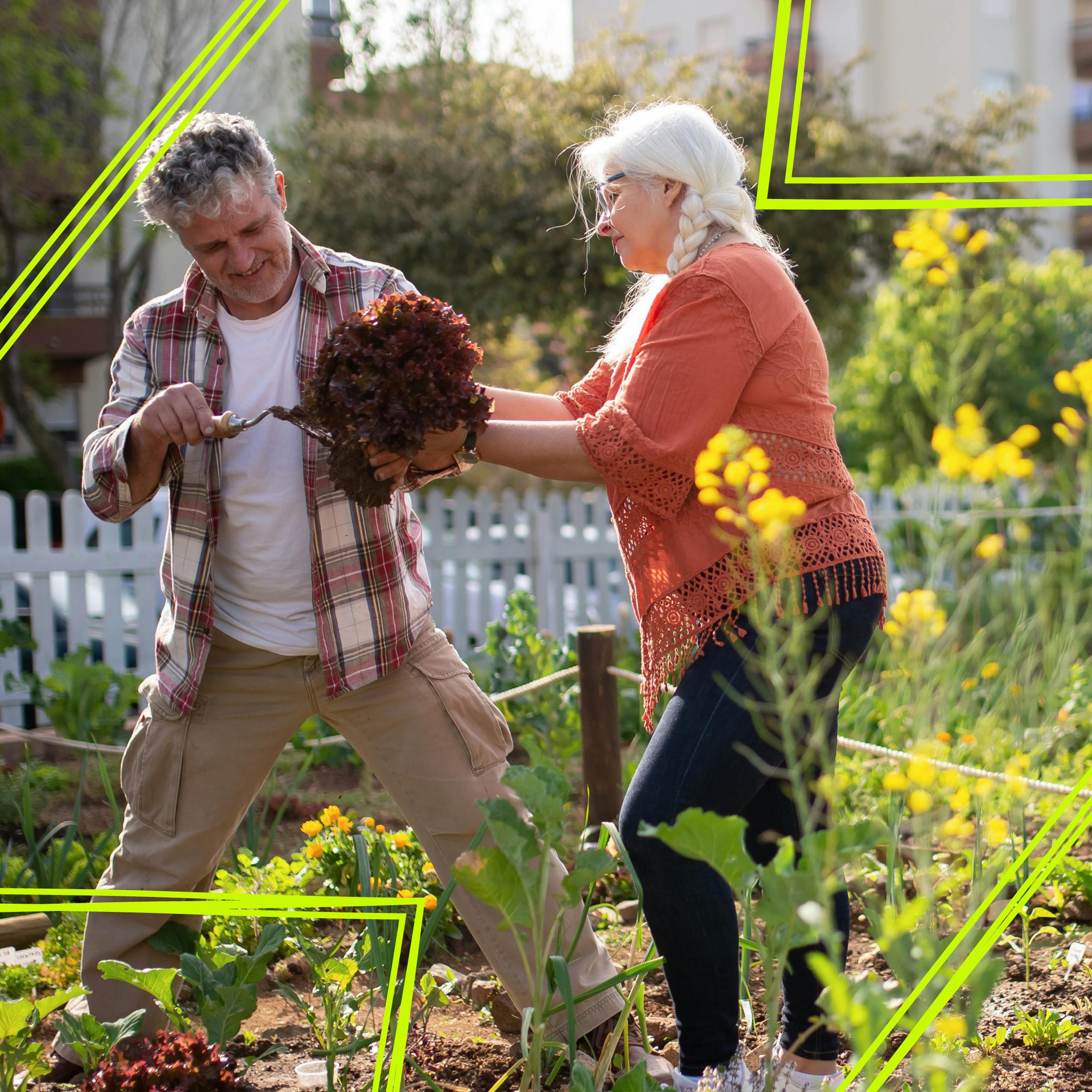 Buried Treasure: What community gardens can teach us