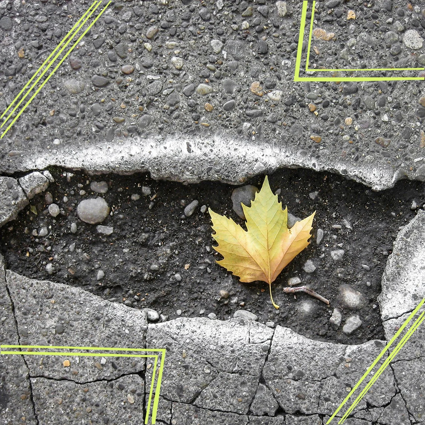 The Pothole Problem at the Heart of Net Zero